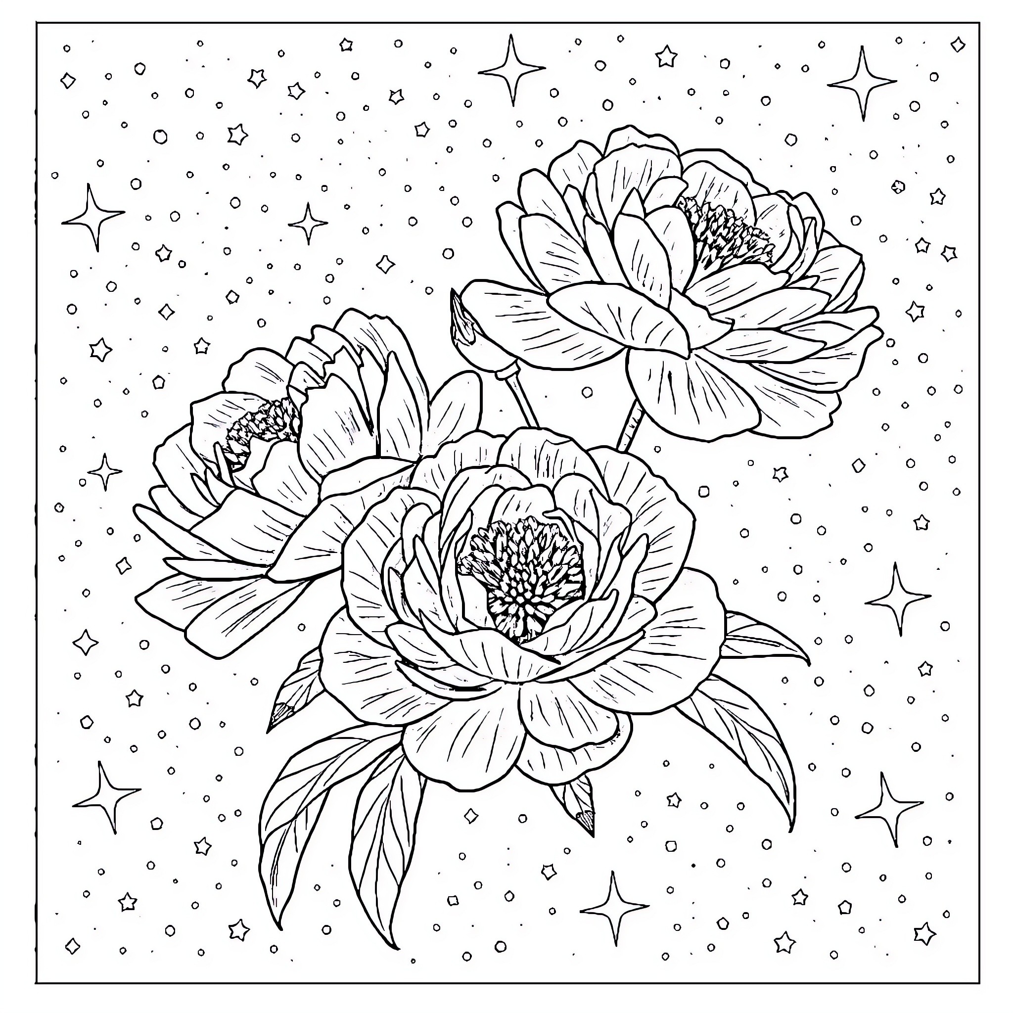 Peony flowers blooming amidst stars and sparkles Coloring Page (free black-and-white line drawing printable PDF for all, from beginners to advanced learners, including children, teens, adults, and seniors)