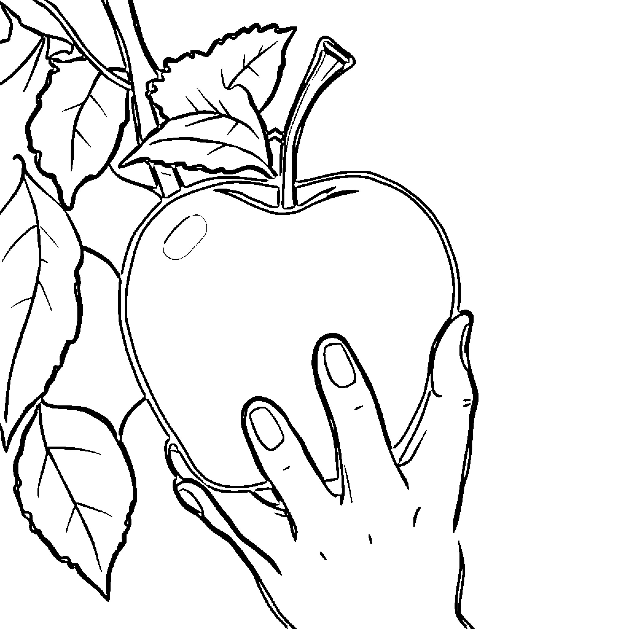 Vocabulary Hands Reaching for Apple on Branch Coloring Page (free black-and-white line drawing printable PDF for all, from beginners to advanced learners, including children, teens, adults, and seniors)