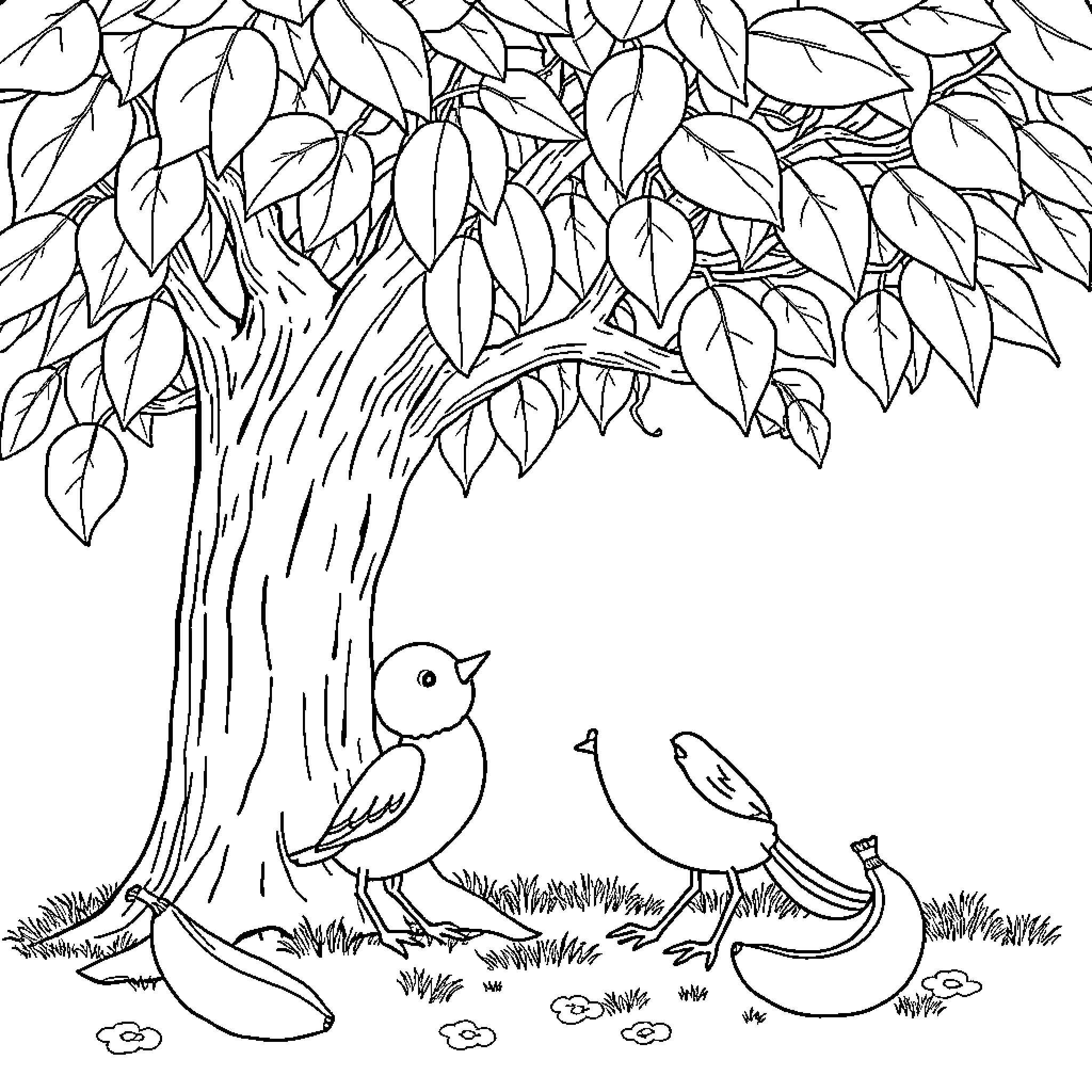 Vaïna's peaceful forest scene with birds and foliage Coloring Page (free black-and-white line drawing printable PDF for all, from beginners to advanced learners, including children, teens, adults, and seniors)