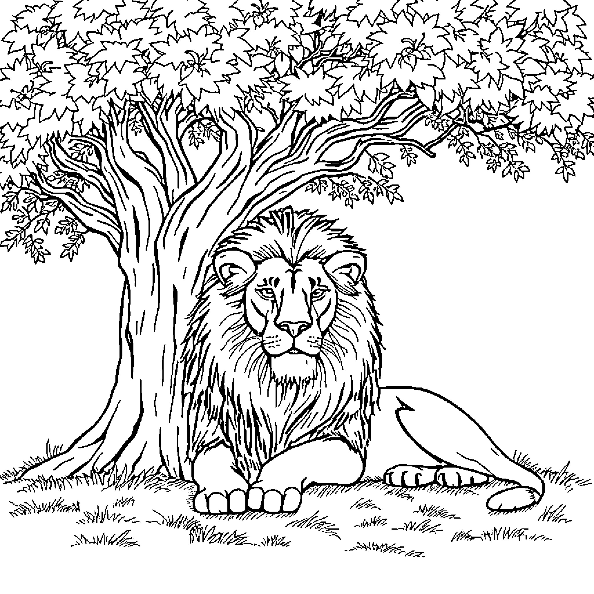Lion resting beneath a large, leafy tree Coloring Page (free black-and-white line drawing printable PDF for all, from beginners to advanced learners, including children, teens, adults, and seniors)