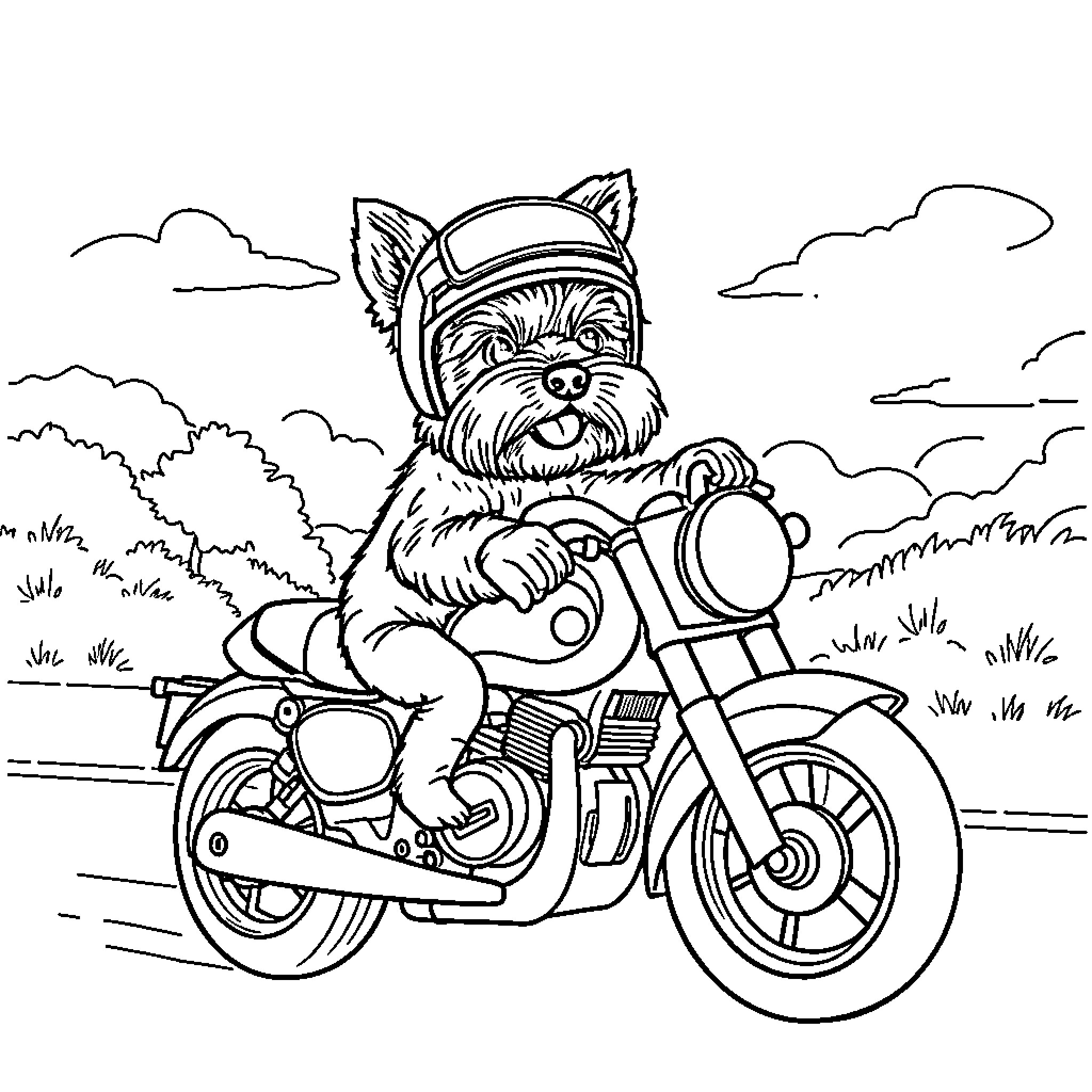 Yorkie riding motorcycle on open road Coloring Page (free black-and-white line drawing printable PDF for all, from beginners to advanced learners, including children, teens, adults, and seniors)