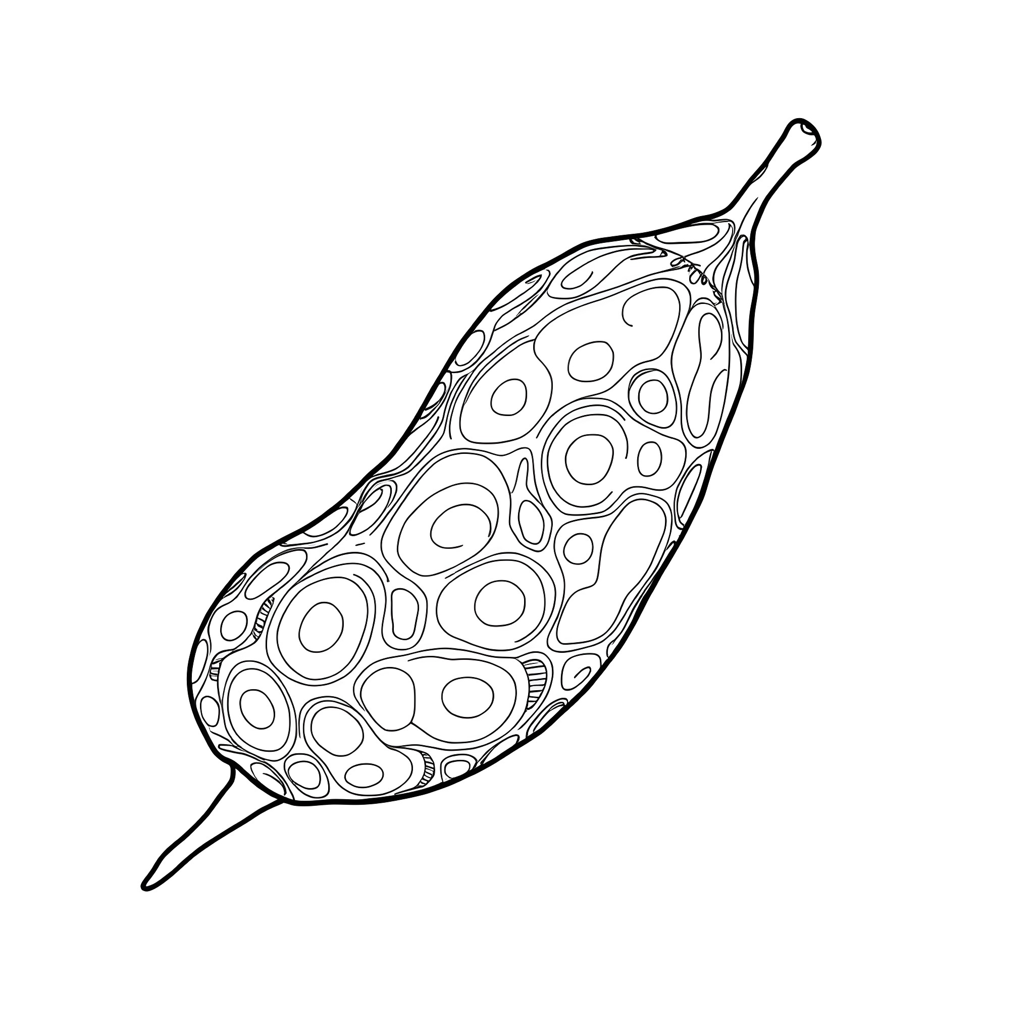 Bean-shaped vegetable with abstract pattern Coloring Page (free black-and-white line drawing printable PDF for all, from beginners to advanced learners, including children, teens, adults, and seniors)