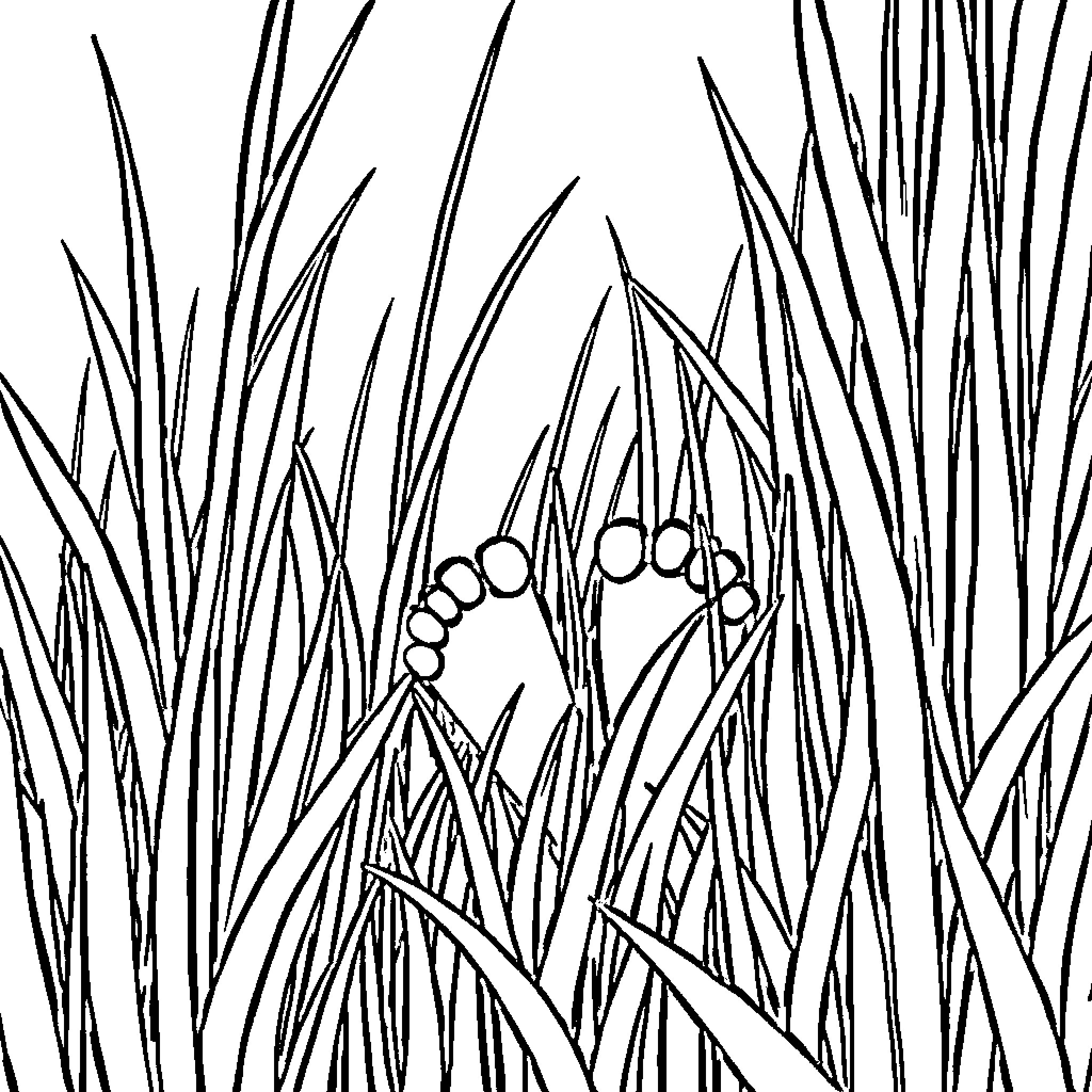 Kid's Feet Peeking Through Grass Coloring Page (free black-and-white line drawing printable PDF for all, from beginners to advanced learners, including children, teens, adults, and seniors)