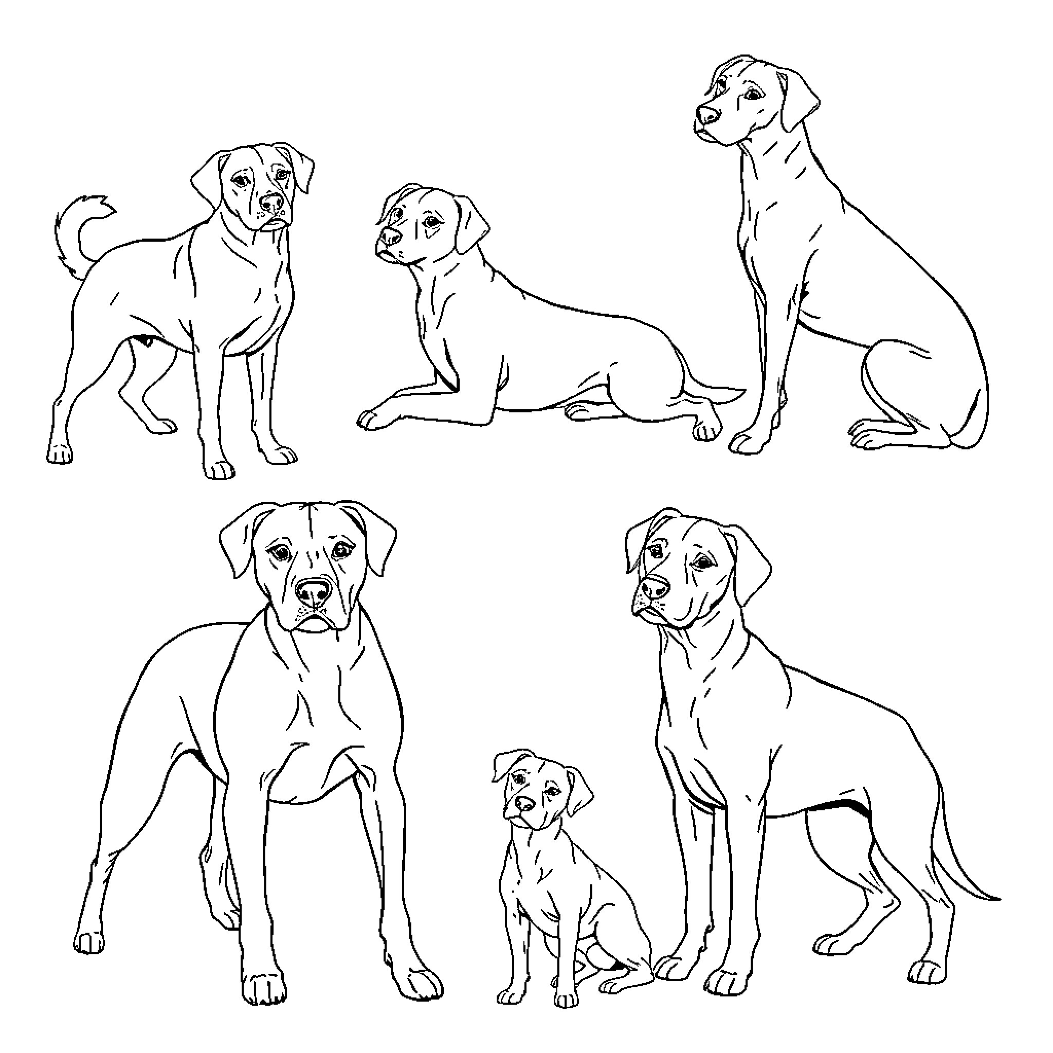 Dog Sketches Depicting Various Poses and Expressions Coloring Page (free black-and-white line drawing printable PDF for all, from beginners to advanced learners, including children, teens, adults, and seniors)