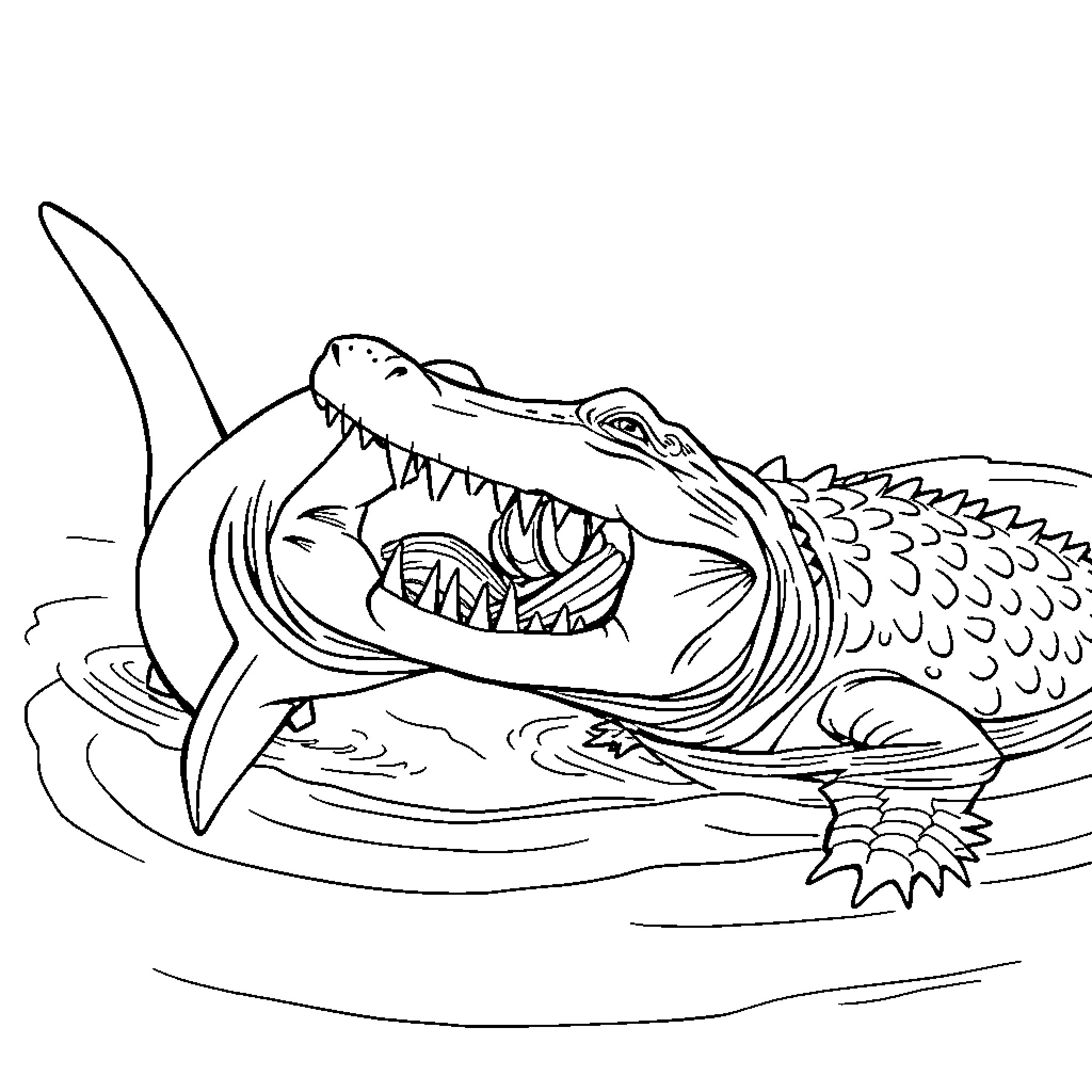 Shark attacking with gaping mouth Coloring Page (free black-and-white line drawing printable PDF for all, from beginners to advanced learners, including children, teens, adults, and seniors)