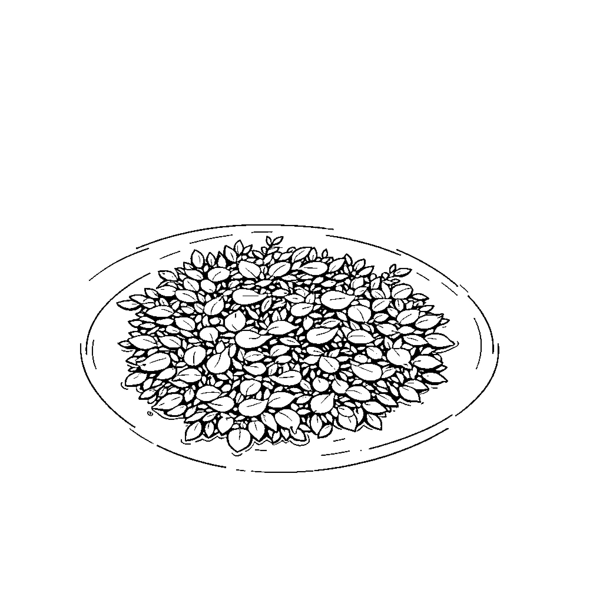 Duckweed floating peacefully in a pond Coloring Page (free black-and-white line drawing printable PDF for all, from beginners to advanced learners, including children, teens, adults, and seniors)