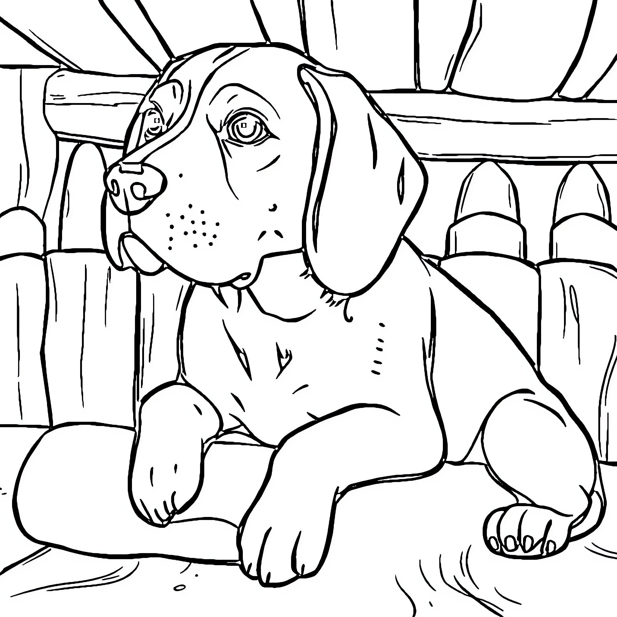 Beagle relaxing in a cozy environment Coloring Page (free black-and-white line drawing printable PDF for all, from beginners to advanced learners, including children, teens, adults, and seniors)
