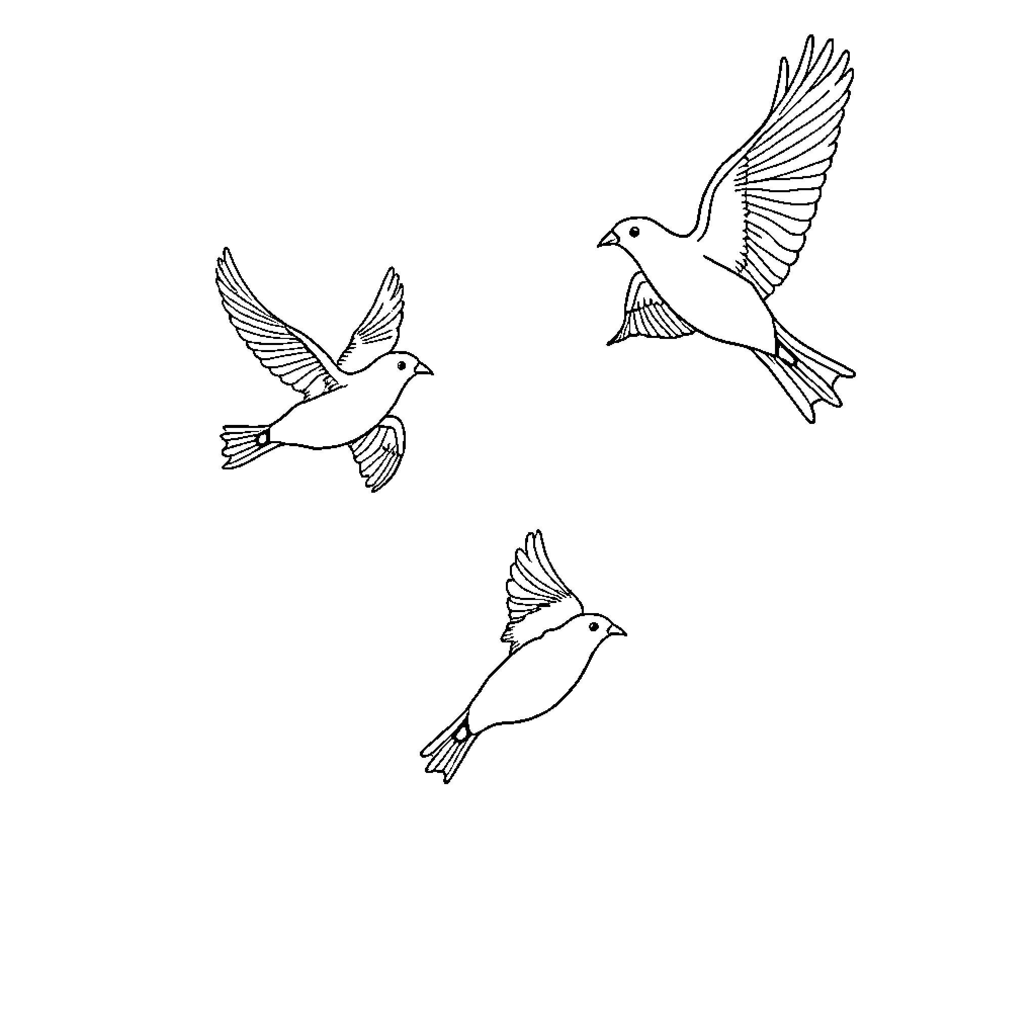 Birds in flight graceful movement Coloring Page (free black-and-white line drawing printable PDF for all, from beginners to advanced learners, including children, teens, adults, and seniors)