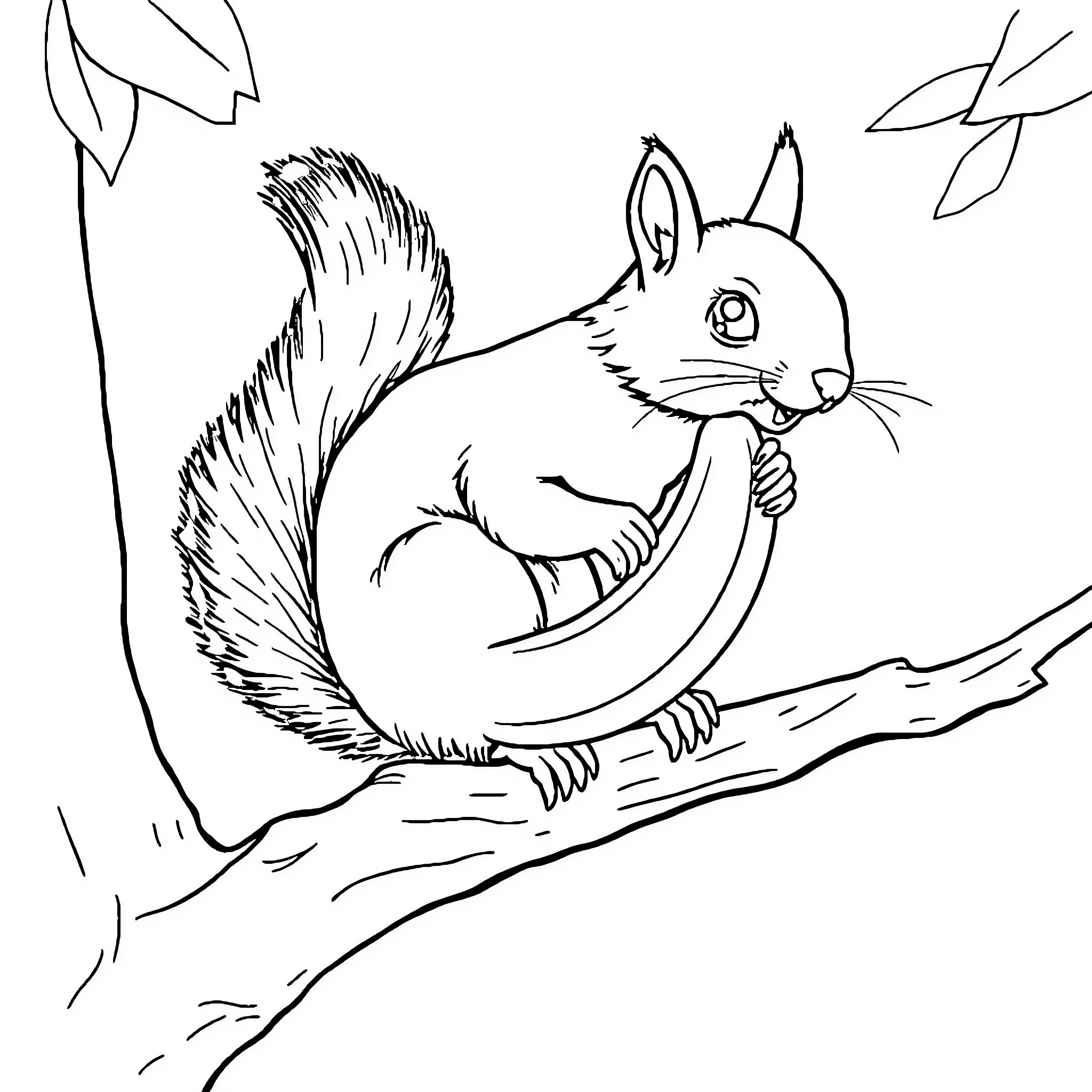 Squirrel scurrying on a tree branch Coloring Page (free black-and-white line drawing printable PDF for all, from beginners to advanced learners, including children, teens, adults, and seniors)