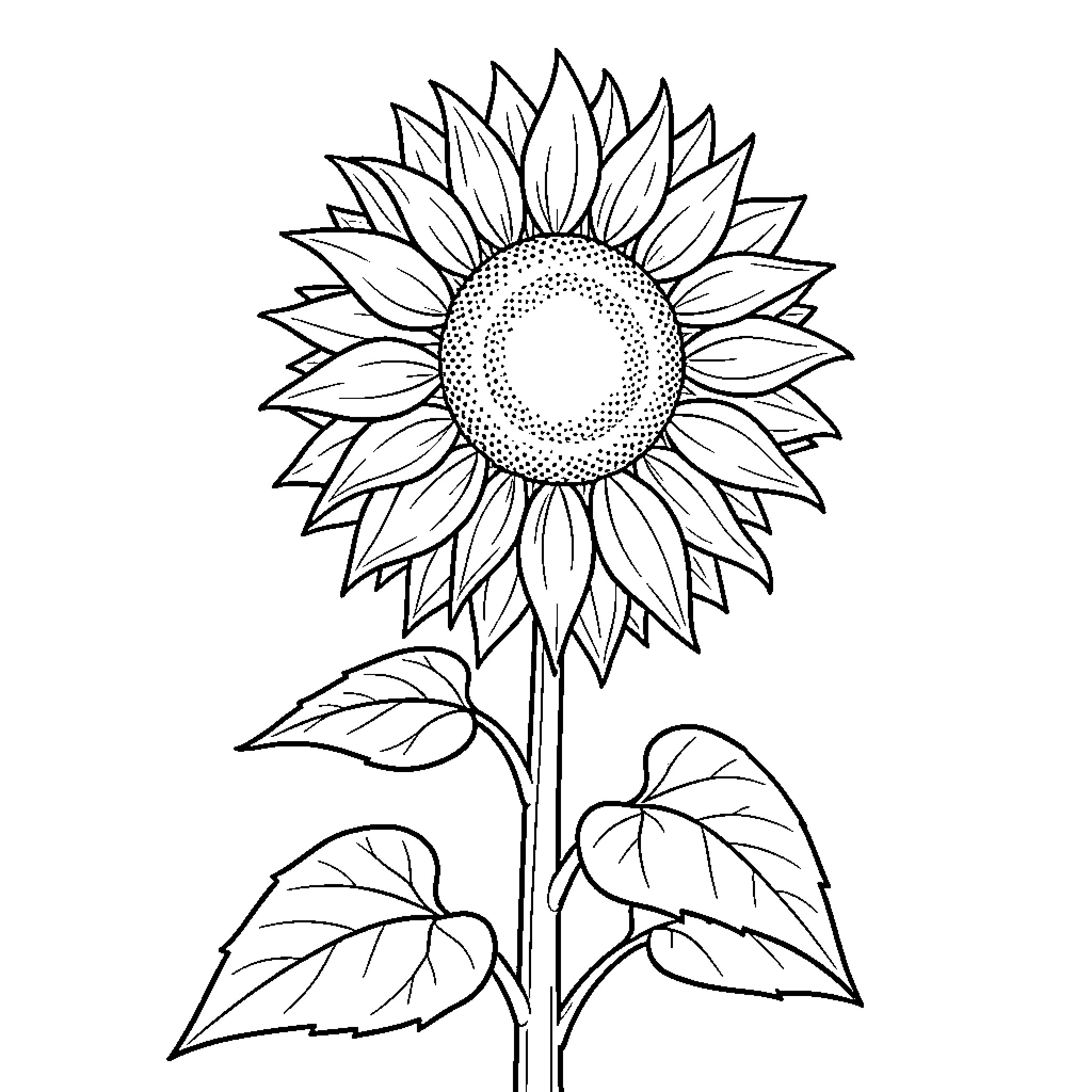 Sunflower with detailed petals and leaves Coloring Page (free black-and-white line drawing printable PDF for all, from beginners to advanced learners, including children, teens, adults, and seniors)