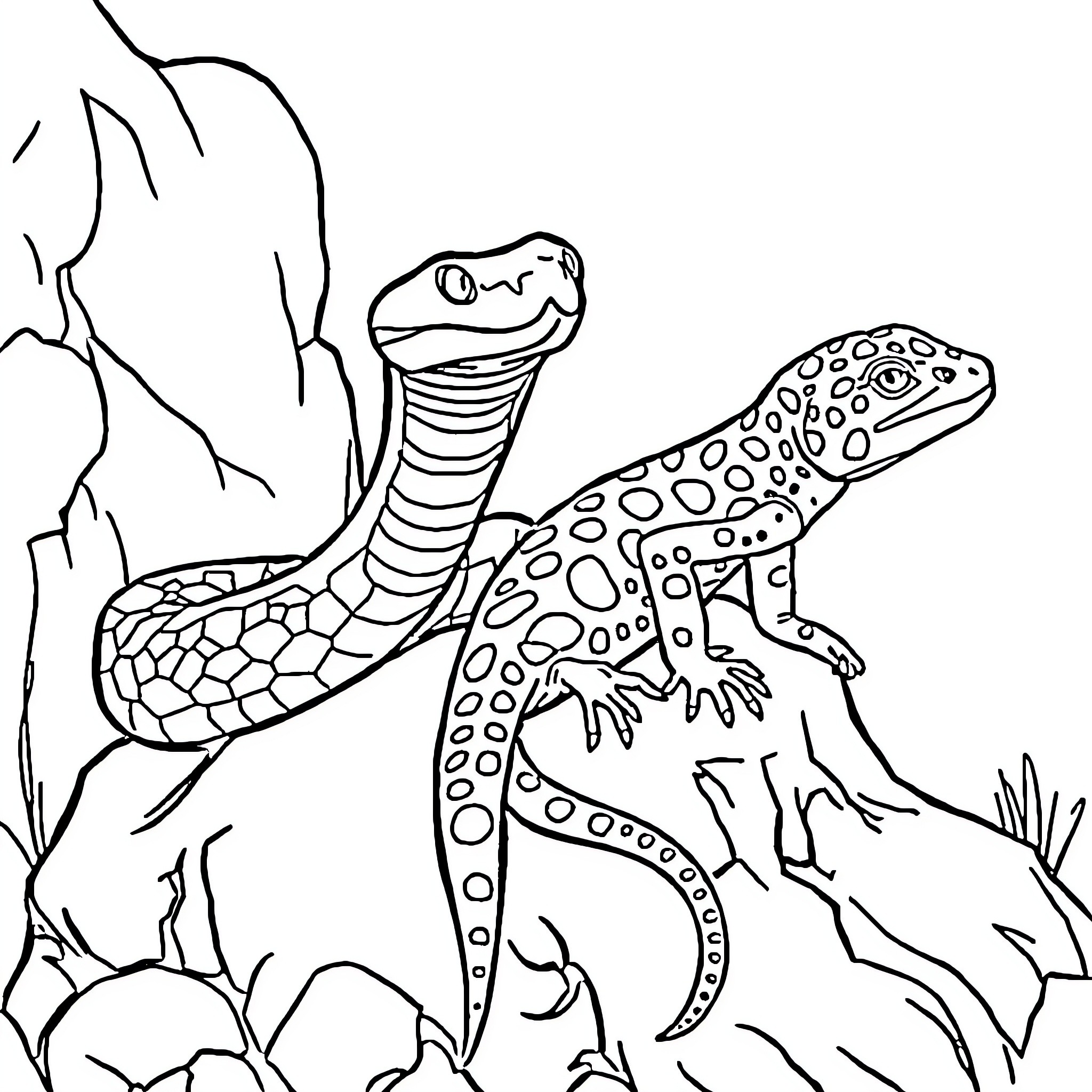 Hognose Snake Displaying Defensive Behavior Coloring Page (free black-and-white line drawing printable PDF for all, from beginners to advanced learners, including children, teens, adults, and seniors)