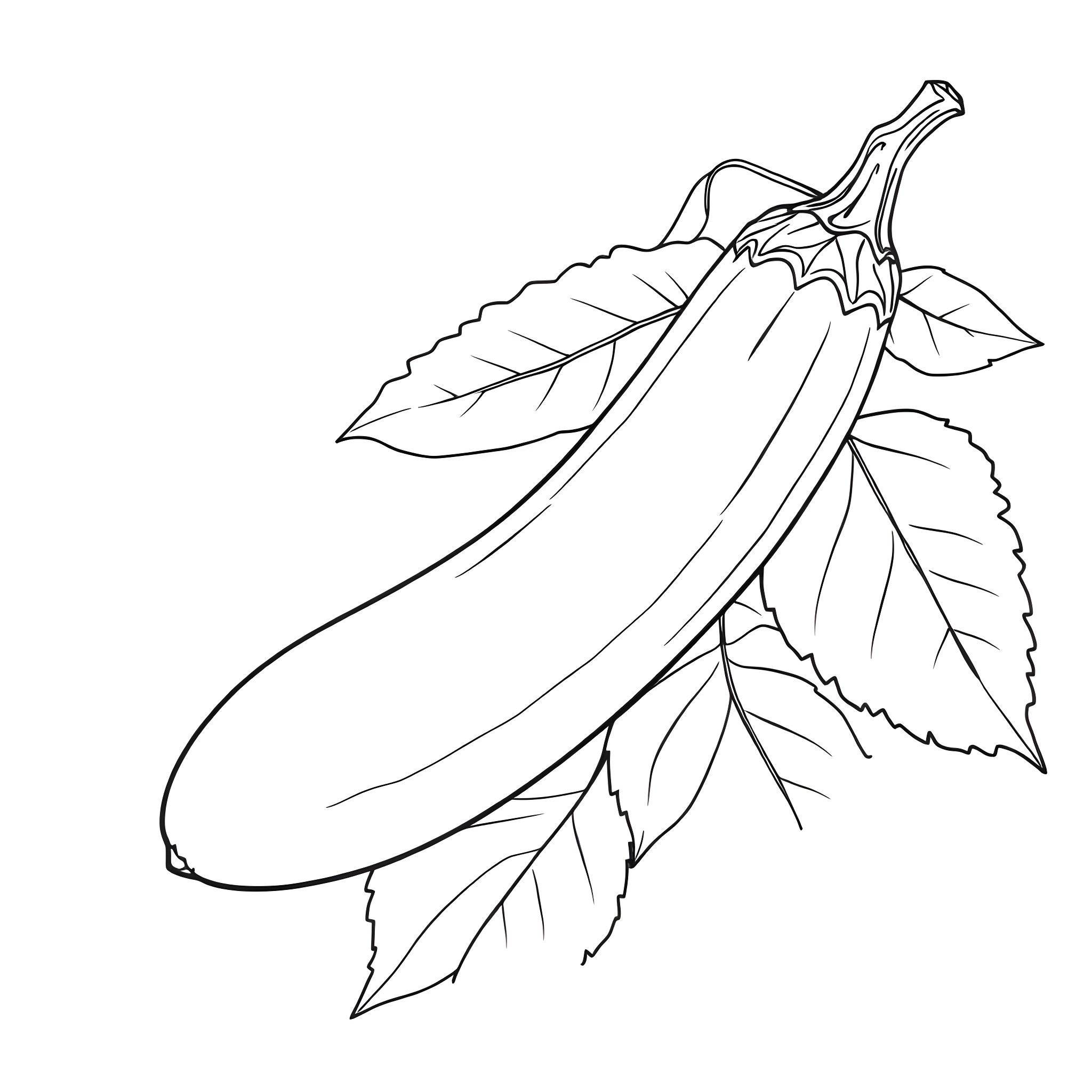 Brinjal with leaves in a simple illustration Coloring Page (free black-and-white line drawing printable PDF for all, from beginners to advanced learners, including children, teens, adults, and seniors)