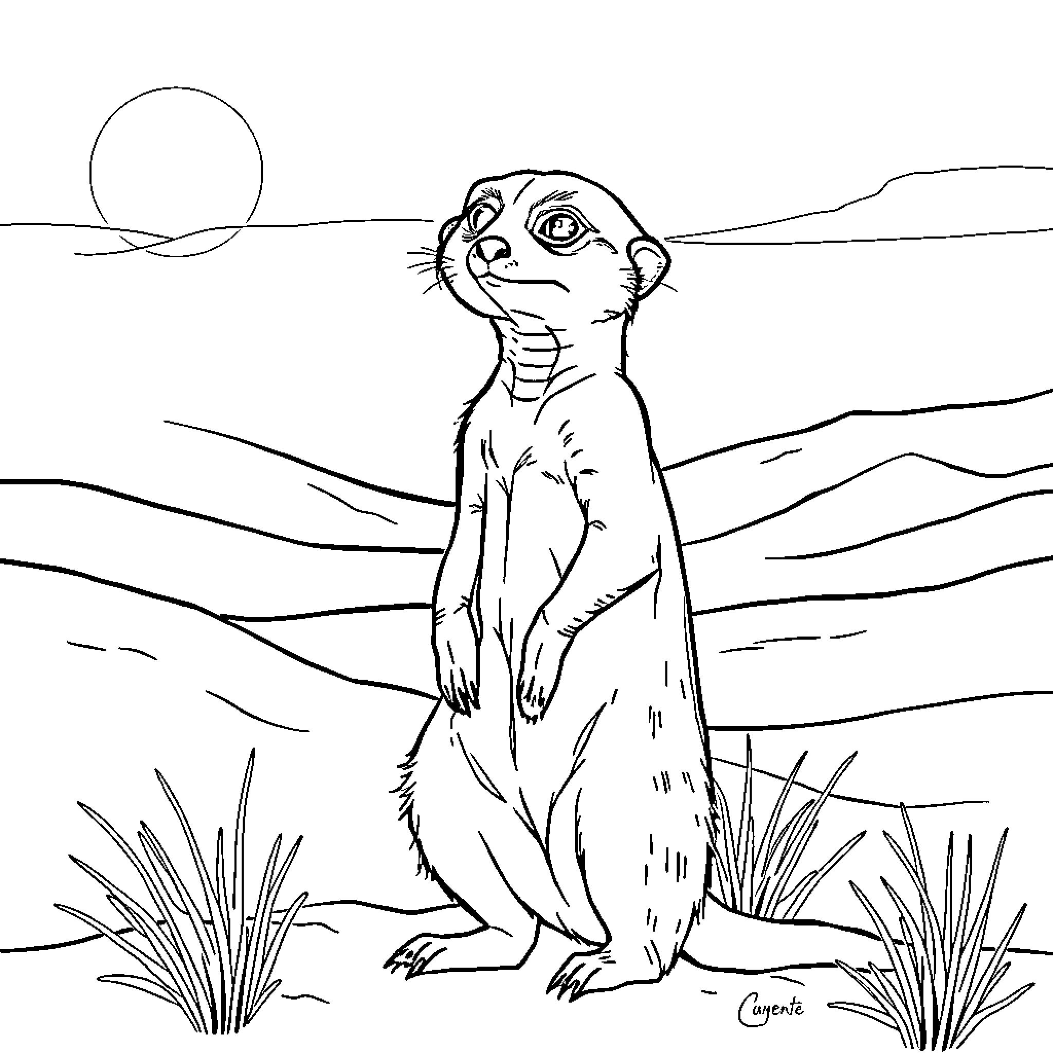 Meerkat standing alert in the desert landscape Coloring Page (free black-and-white line drawing printable PDF for all, from beginners to advanced learners, including children, teens, adults, and seniors)