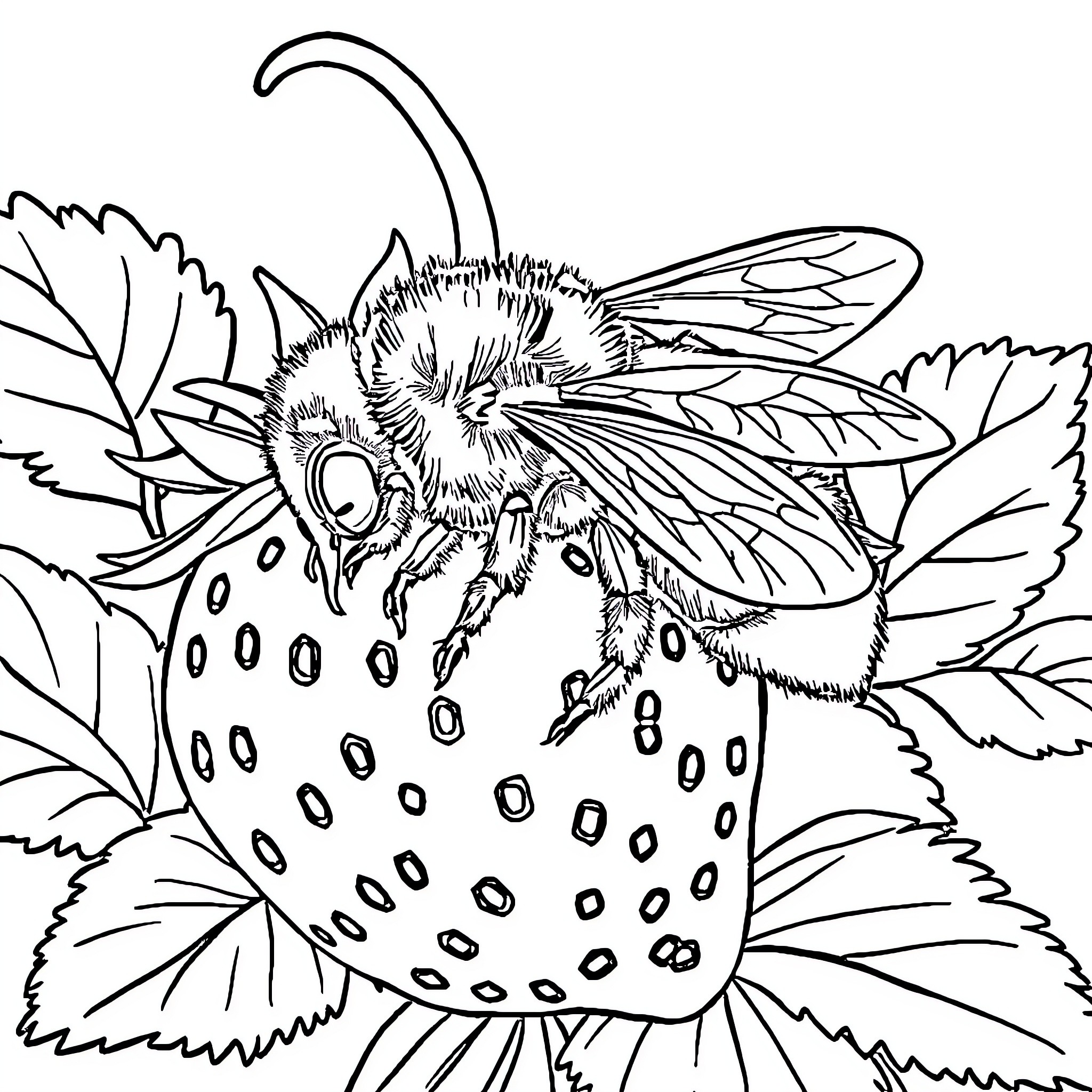 Bee Pollinating Spotted Flower Coloring Page (free black-and-white line drawing printable PDF for all, from beginners to advanced learners, including children, teens, adults, and seniors)