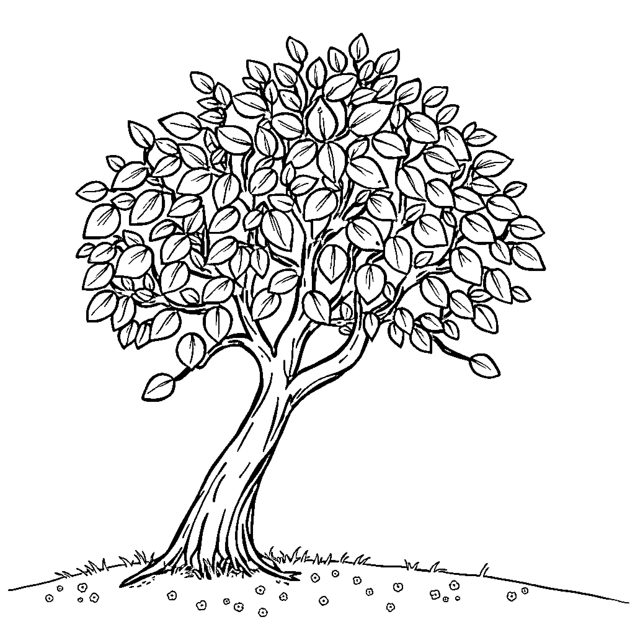 Tree with detailed foliage in black and white Coloring Page (free black-and-white line drawing printable PDF for all, from beginners to advanced learners, including children, teens, adults, and seniors)