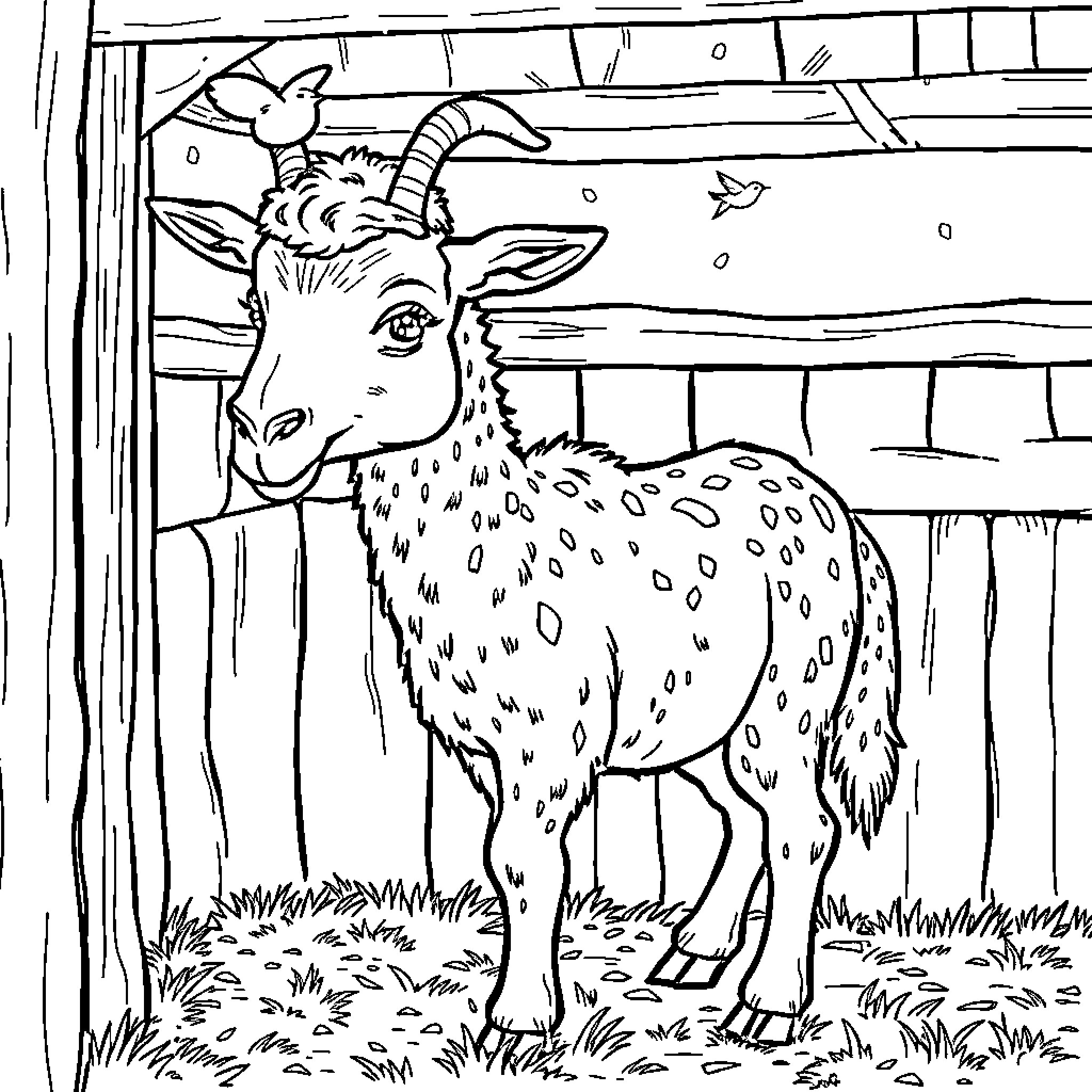 Alpaca standing in a rustic barn Coloring Page (free black-and-white line drawing printable PDF for all, from beginners to advanced learners, including children, teens, adults, and seniors)