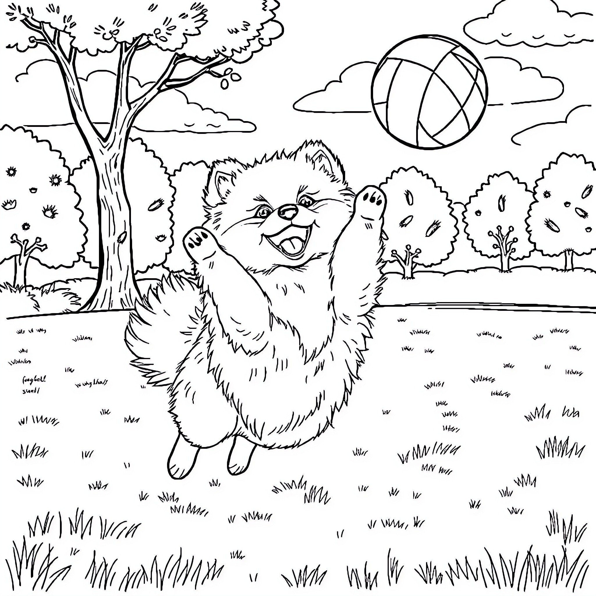 Pomeranian frolicking playfully in a scenic park Coloring Page (free black-and-white line drawing printable PDF for all, from beginners to advanced learners, including children, teens, adults, and seniors)