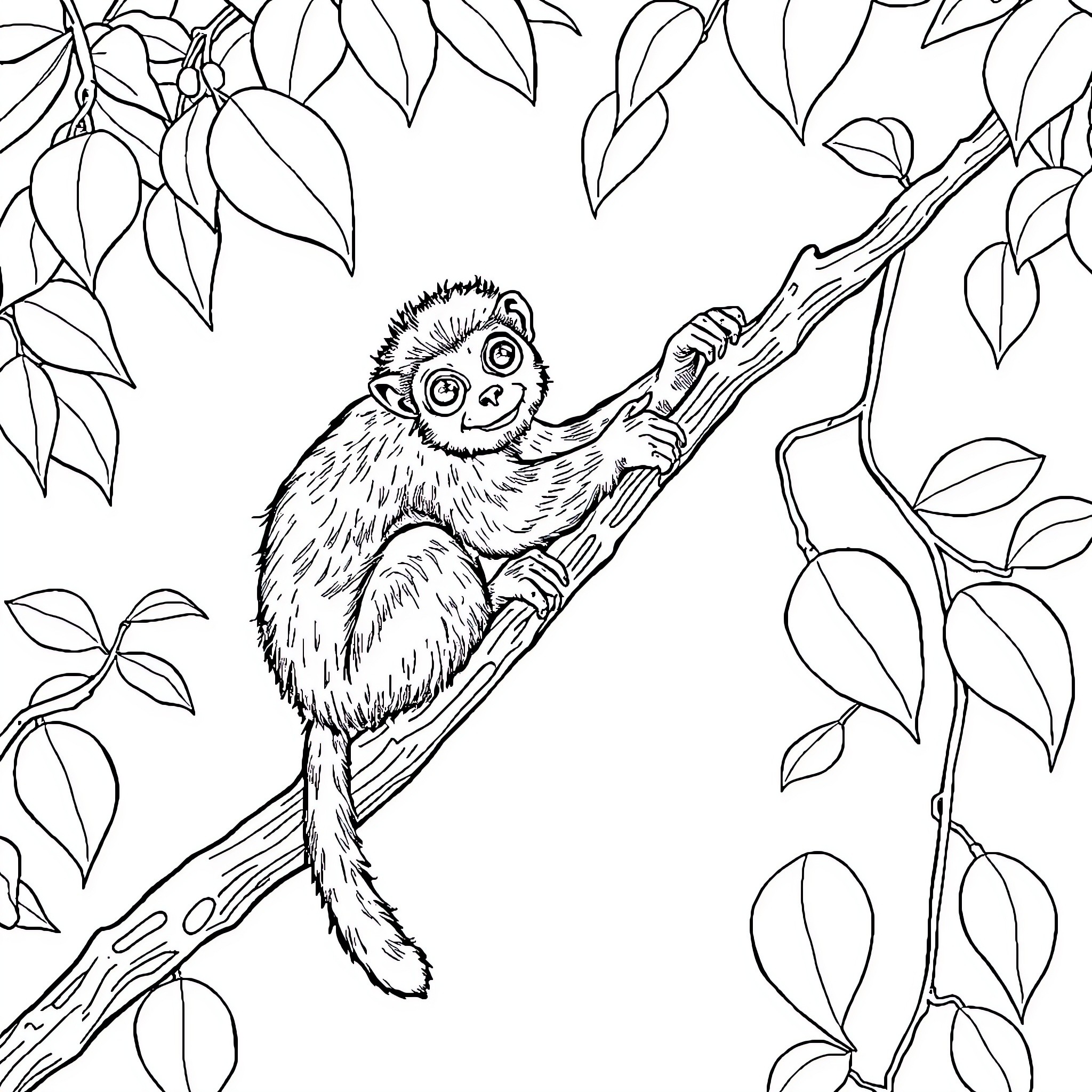 Monkey sitting on a tree branch in the forest Coloring Page (free black-and-white line drawing printable PDF for all, from beginners to advanced learners, including children, teens, adults, and seniors)
