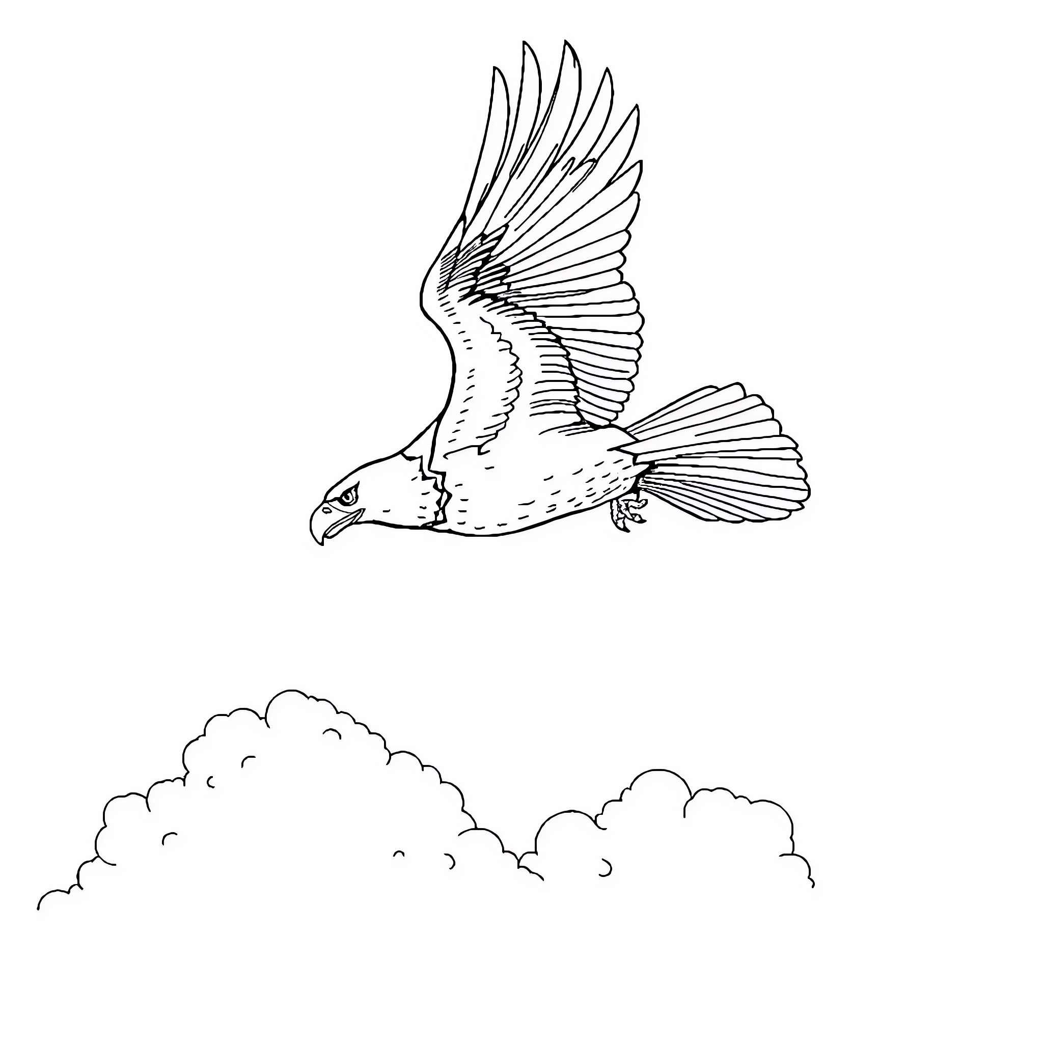 Eagle soaring majestically in the clouds Coloring Page (free black-and-white line drawing printable PDF for all, from beginners to advanced learners, including children, teens, adults, and seniors)