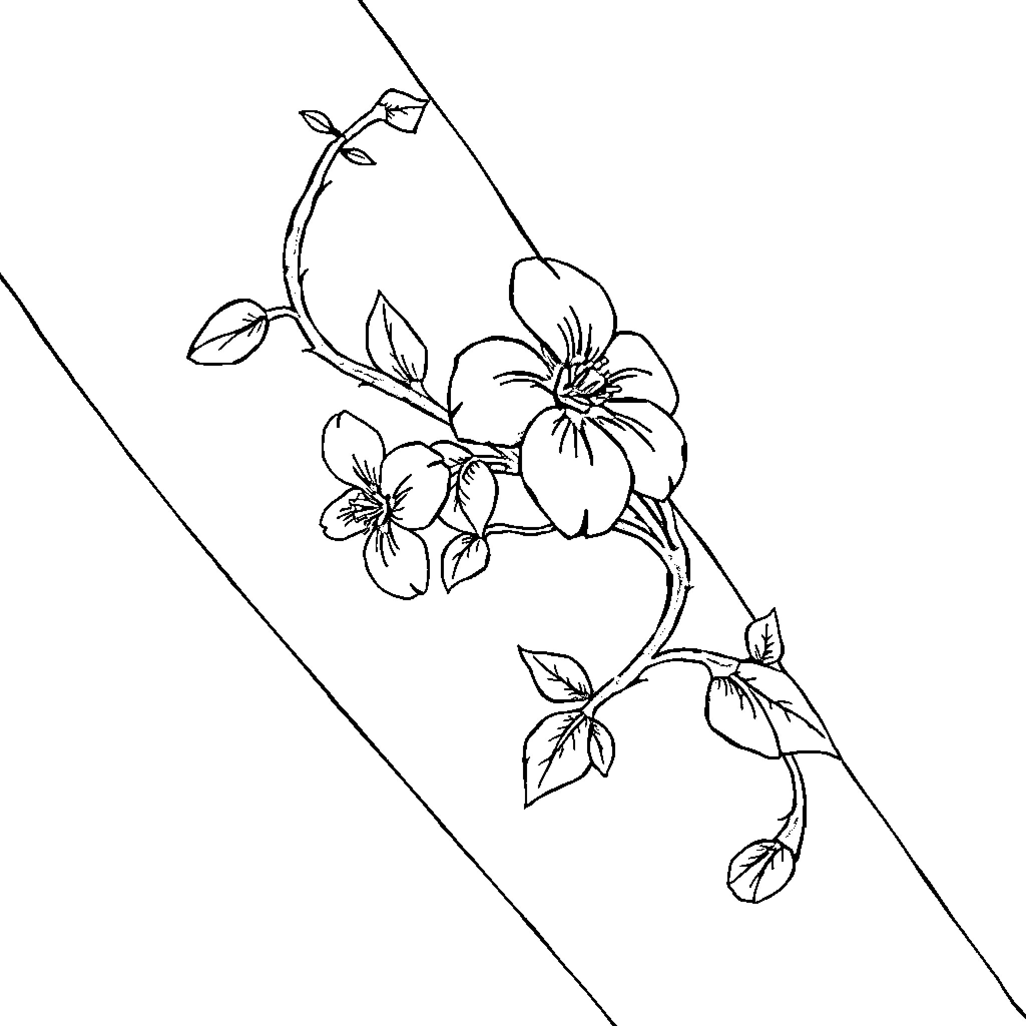 Vine of delicate floral blossoms Coloring Page (free black-and-white line drawing printable PDF for all, from beginners to advanced learners, including children, teens, adults, and seniors)