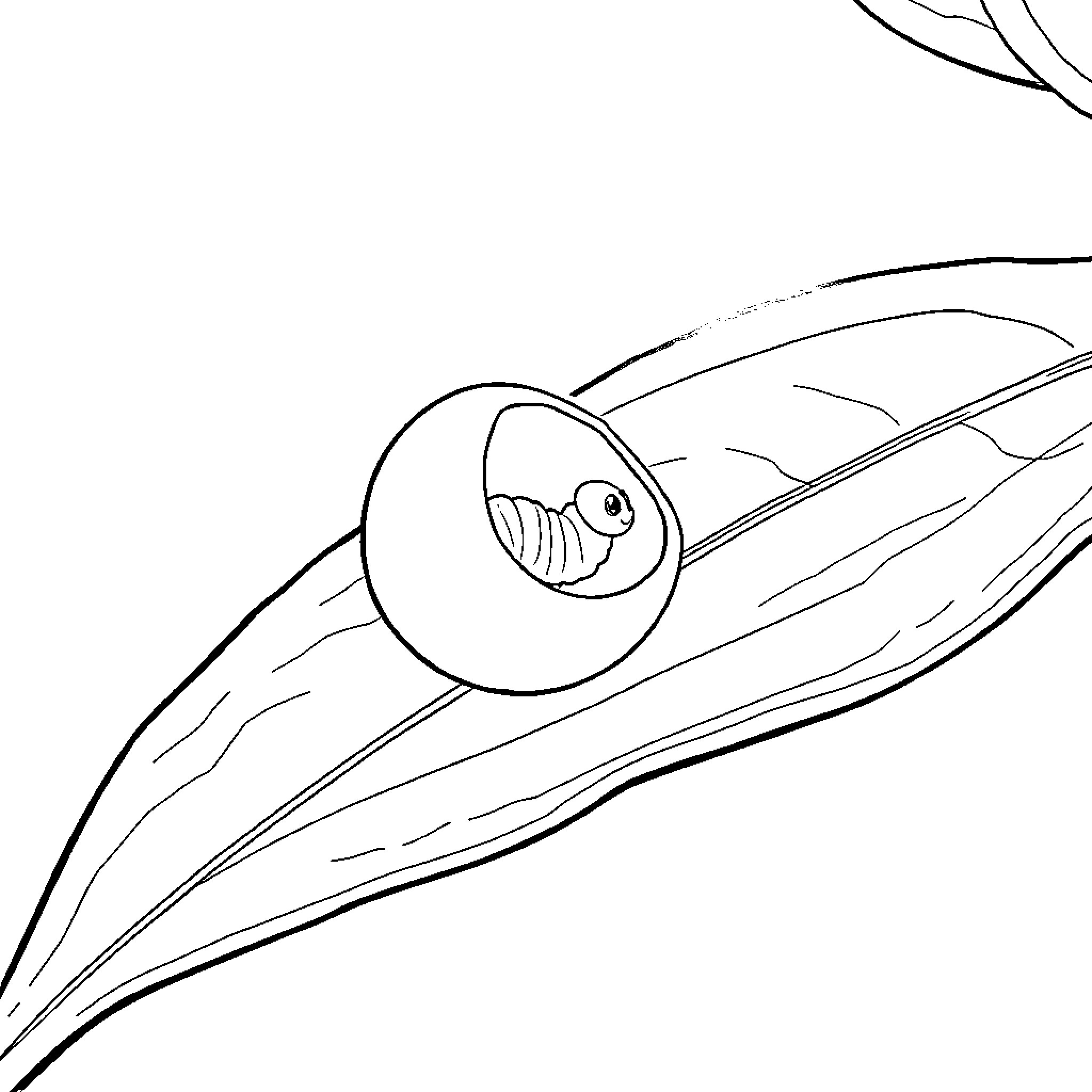 Egg-shaped creature peeking out from behind leaf Coloring Page (free black-and-white line drawing printable PDF for all, from beginners to advanced learners, including children, teens, adults, and seniors)