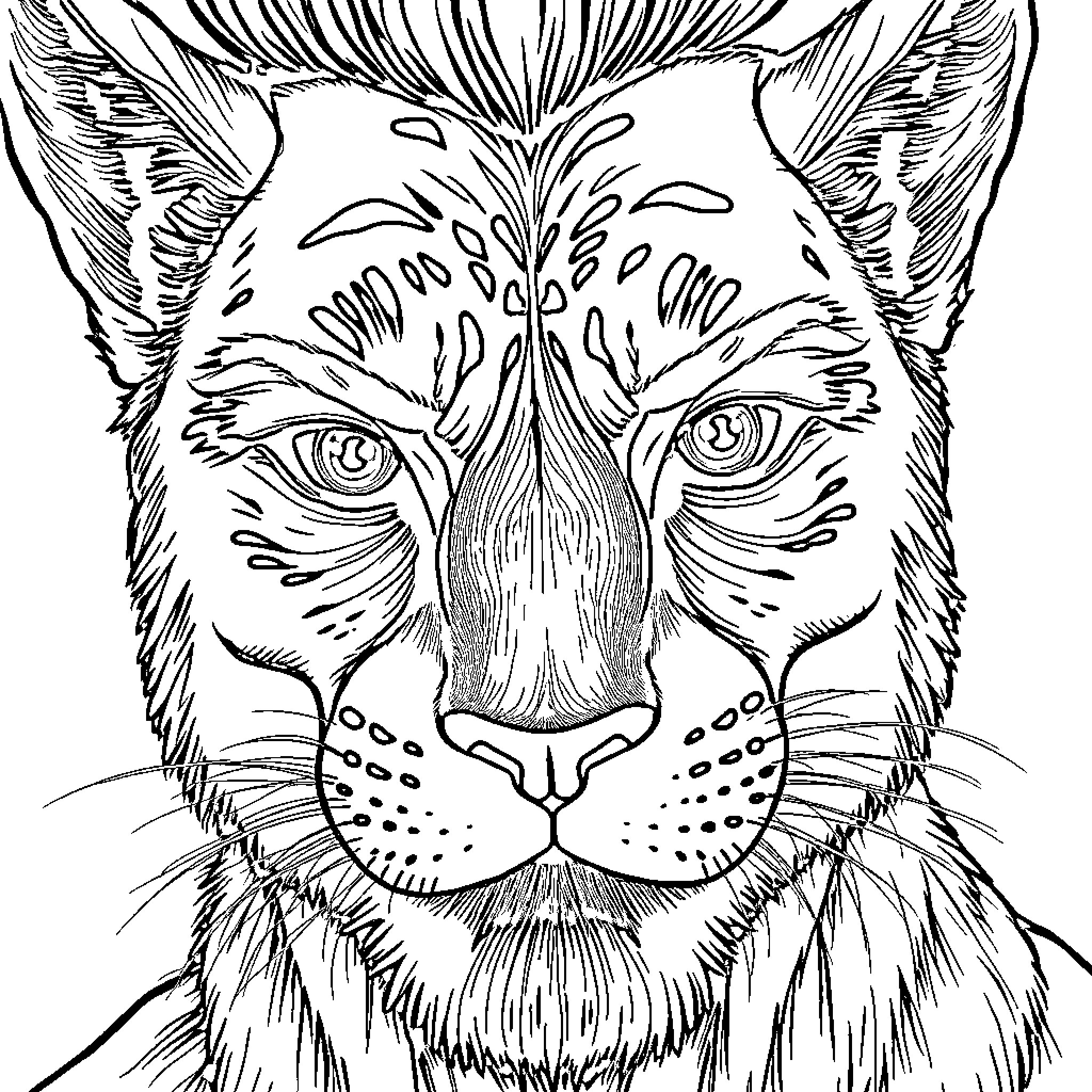 Member of Feline Featuring Detailed Facial Features Coloring Page (free black-and-white line drawing printable PDF for all, from beginners to advanced learners, including children, teens, adults, and seniors)