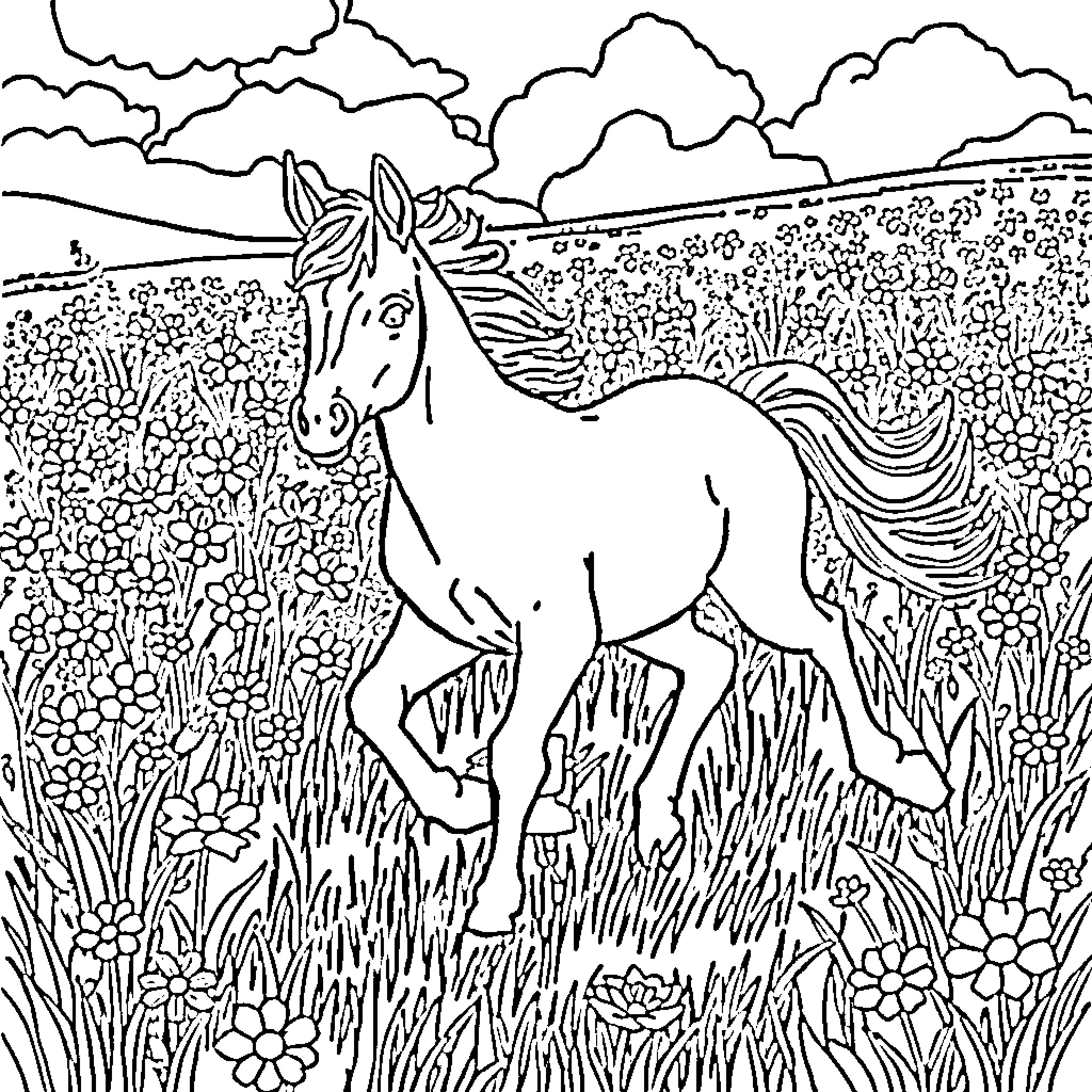 Colt running through the field of flowers Coloring Page (free black-and-white line drawing printable PDF for all, from beginners to advanced learners, including children, teens, adults, and seniors)