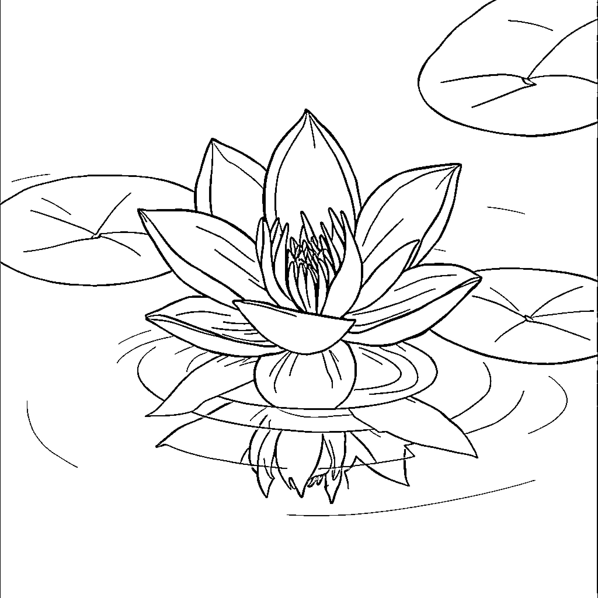 Flower floating gracefully on the water Coloring Page (free black-and-white line drawing printable PDF for all, from beginners to advanced learners, including children, teens, adults, and seniors)