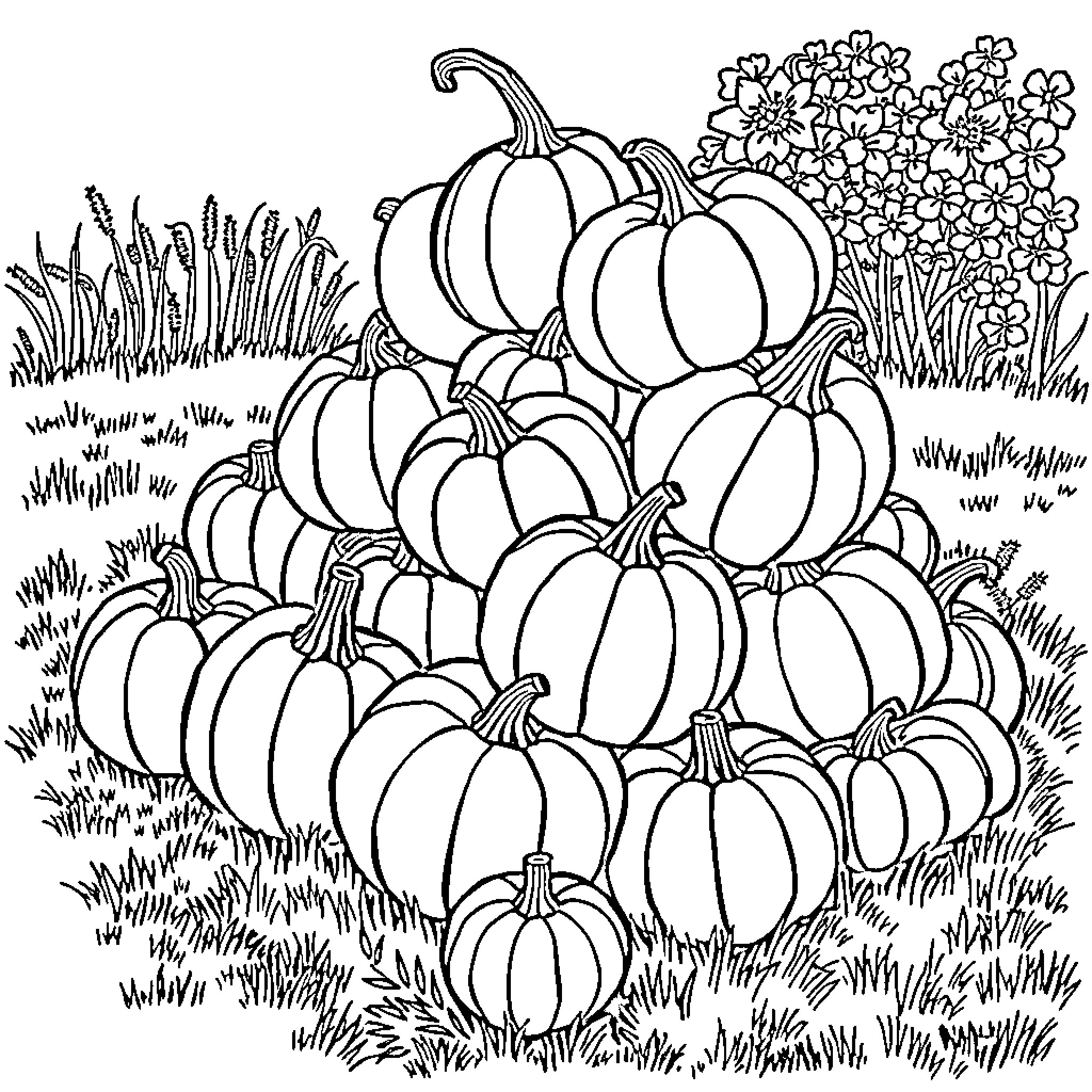 Pumpkin Patch Filled with Vibrant Pumpkins Coloring Page (free black-and-white line drawing printable PDF for all, from beginners to advanced learners, including children, teens, adults, and seniors)