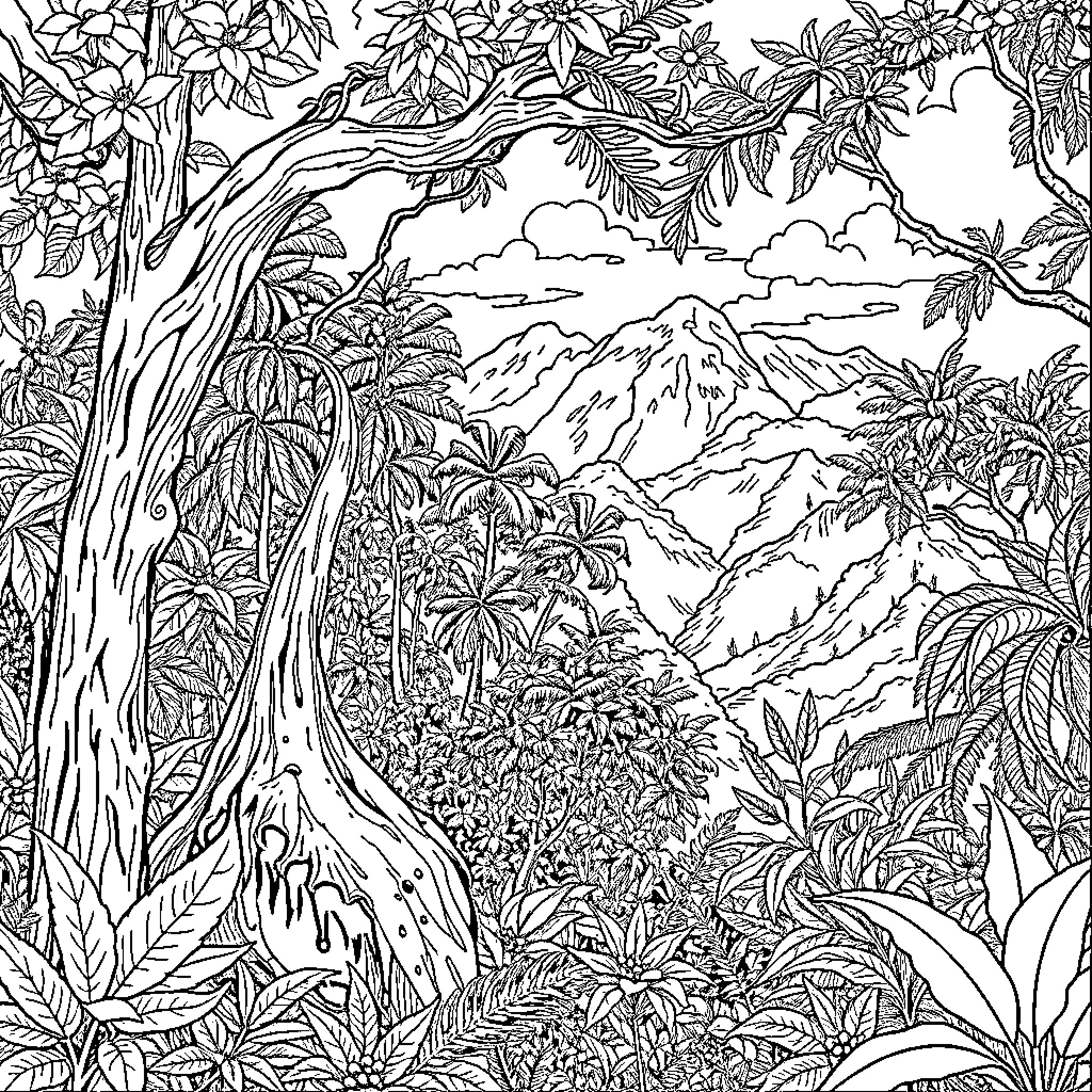 Forest landscape with lush tropical vegetation Coloring Page (free black-and-white line drawing printable PDF for all, from beginners to advanced learners, including children, teens, adults, and seniors)
