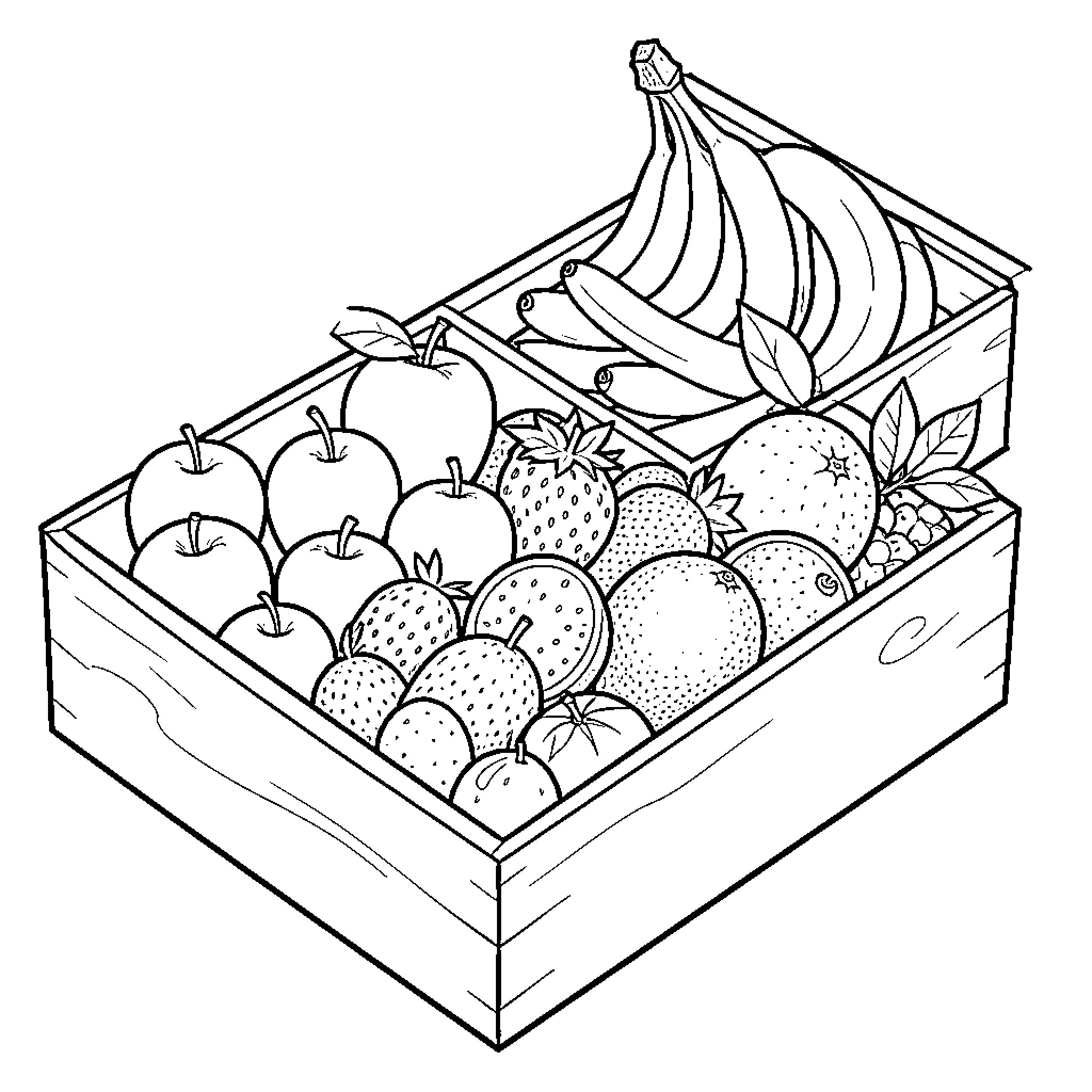 Fruit Crate Filled with Assorted Produce Coloring Page (free black-and-white line drawing printable PDF for all, from beginners to advanced learners, including children, teens, adults, and seniors)