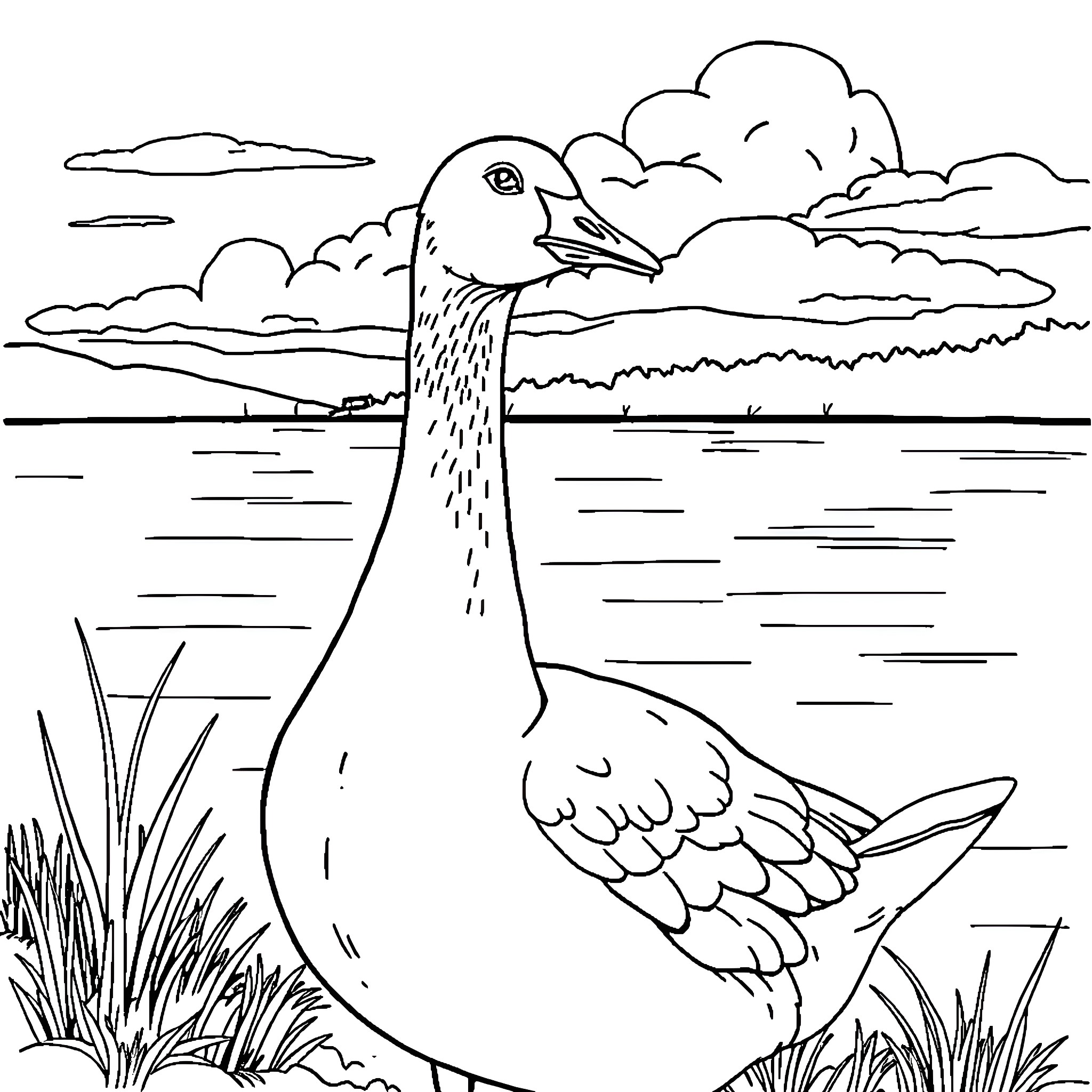Goose swimming peacefully in the pond Coloring Page (free black-and-white line drawing printable PDF for all, from beginners to advanced learners, including children, teens, adults, and seniors)