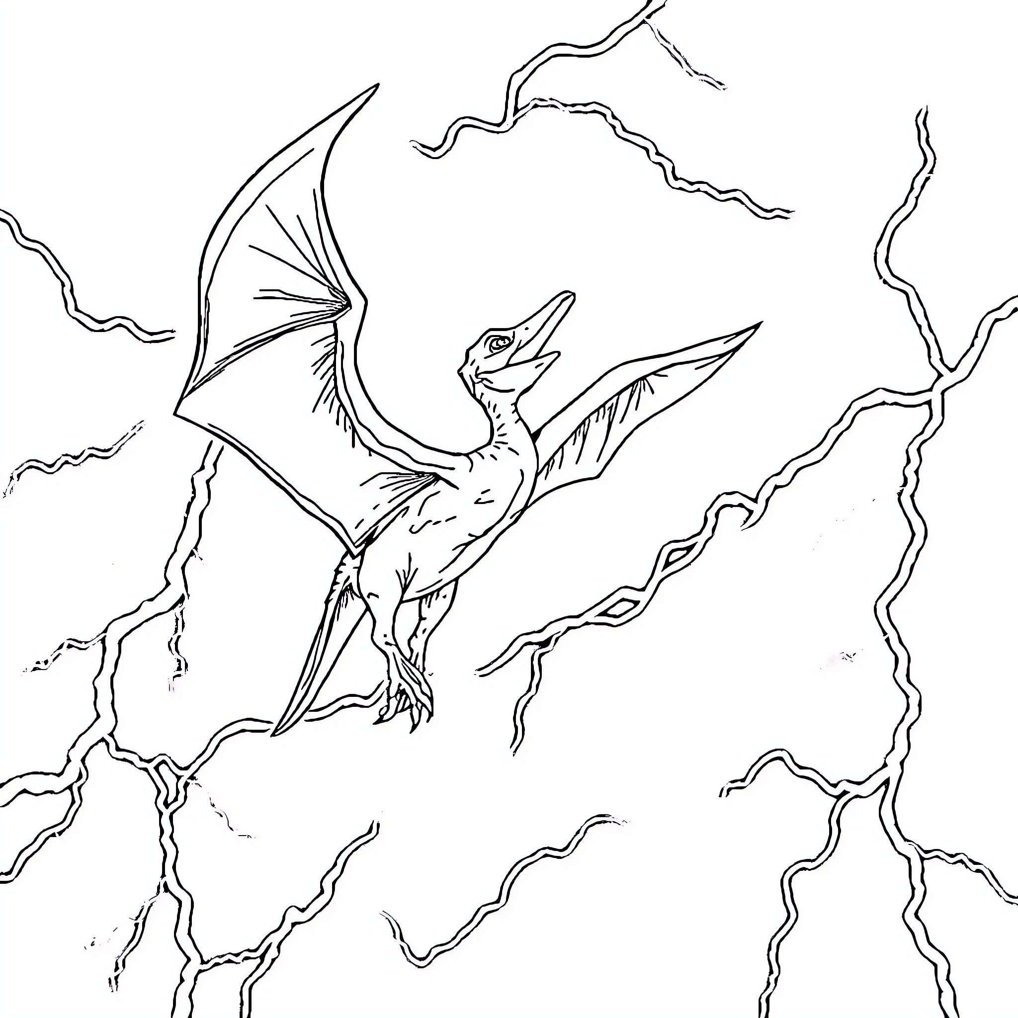 Pterodactyl soaring through thunderous skies Coloring Page (free black-and-white line drawing printable PDF for all, from beginners to advanced learners, including children, teens, adults, and seniors)