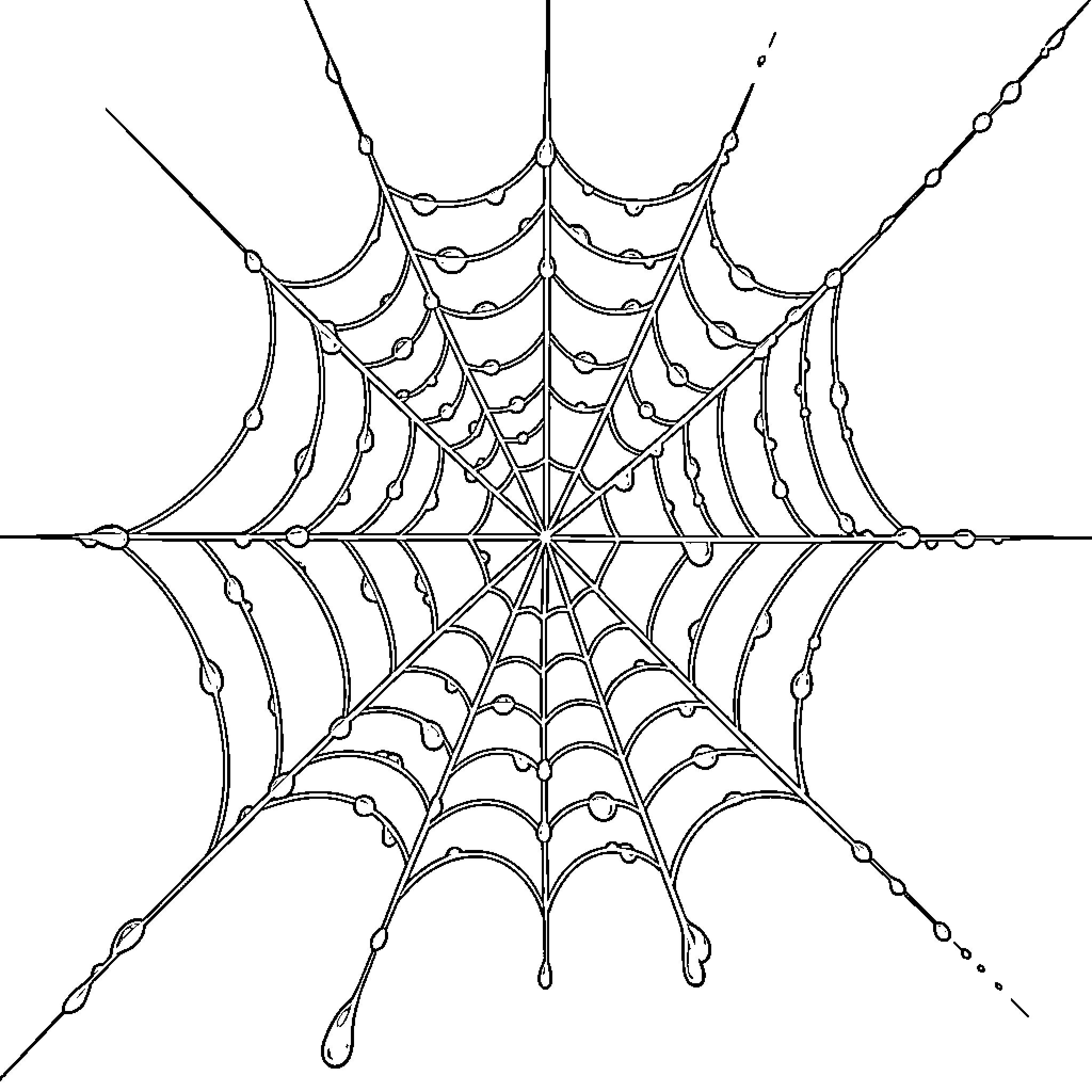Spiderweb with intricate pattern and dew droplets Coloring Page (free black-and-white line drawing printable PDF for all, from beginners to advanced learners, including children, teens, adults, and seniors)