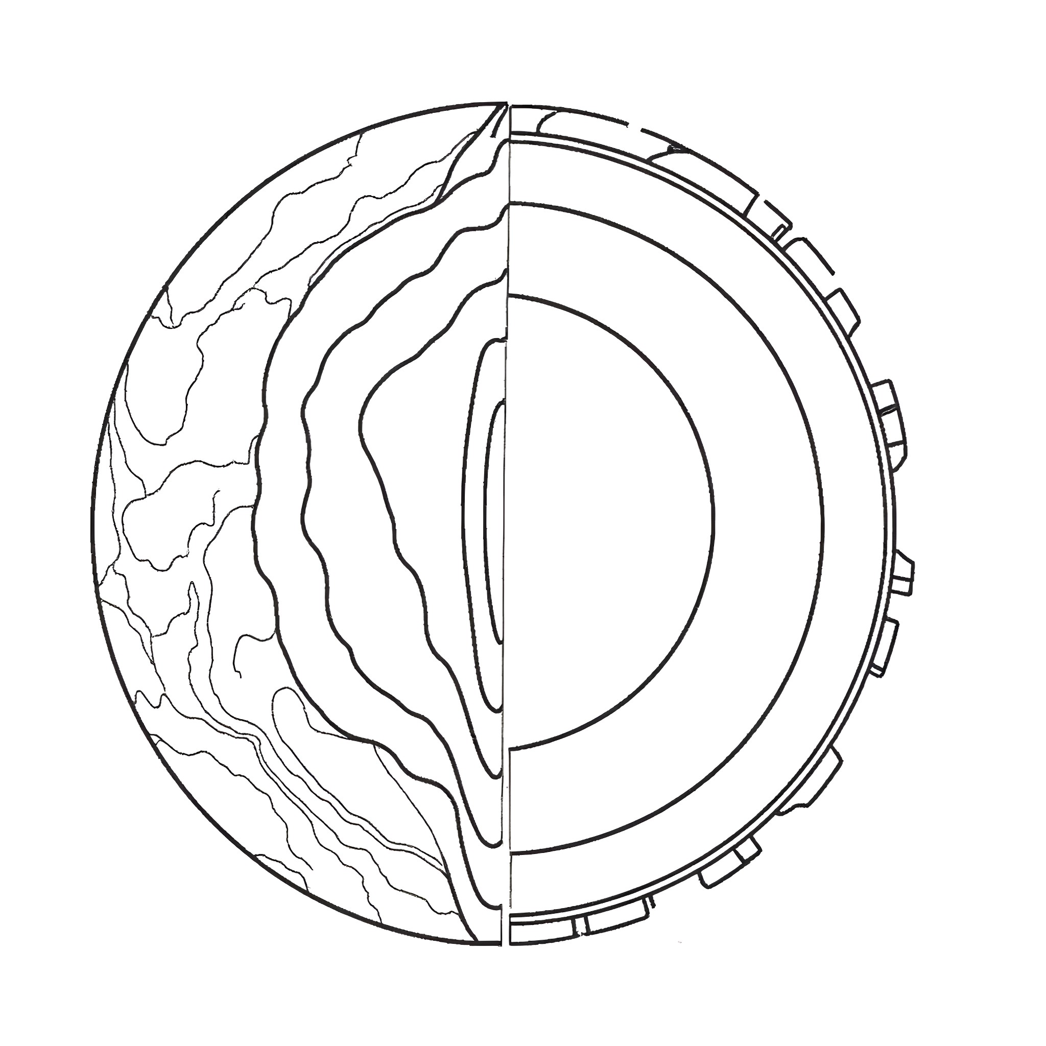 Earth Layers Cross-Section Diagram Coloring Page (free black-and-white line drawing printable PDF for all, from beginners to advanced learners, including children, teens, adults, and seniors)