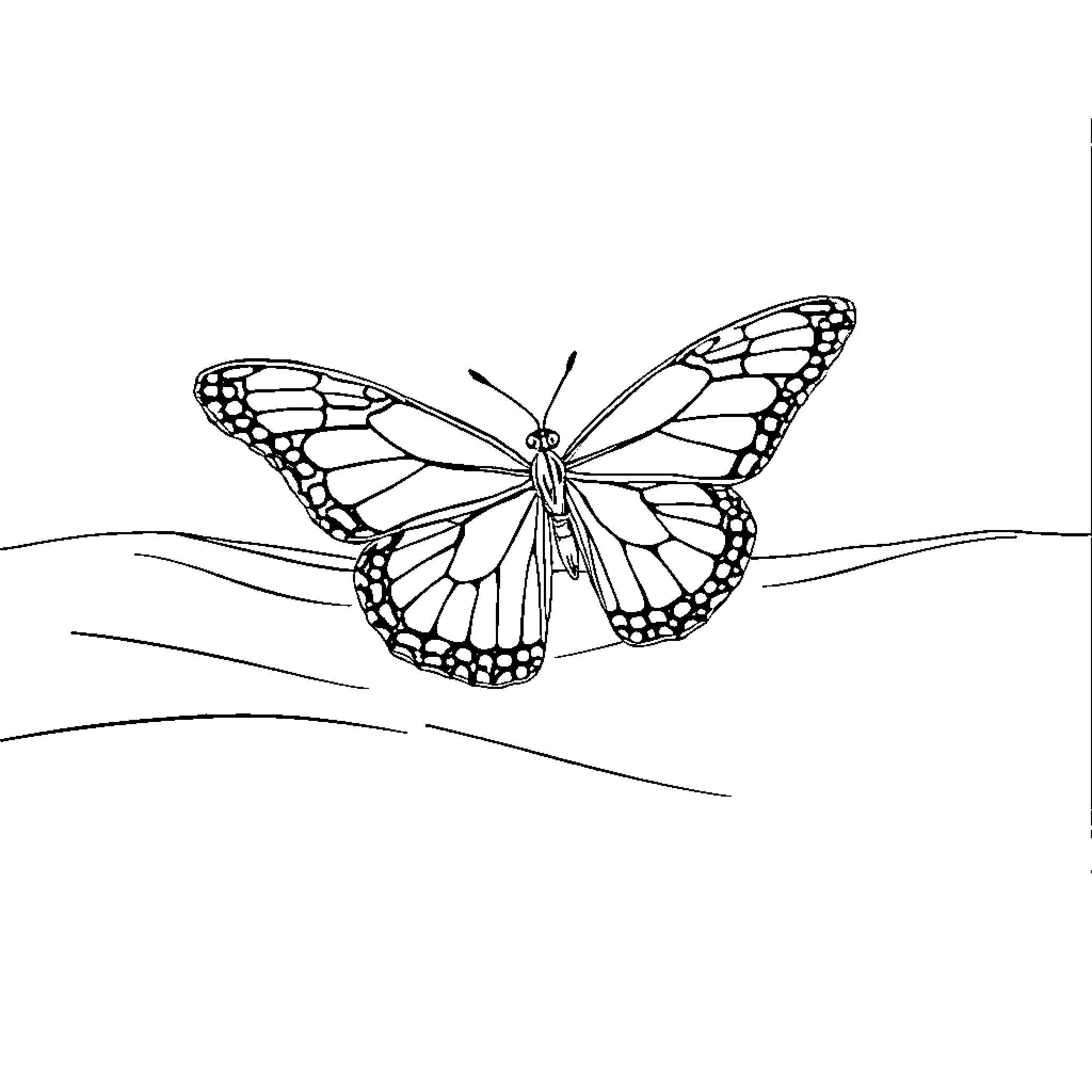 Butterfly resting on delicate flowers Coloring Page (free black-and-white line drawing printable PDF for all, from beginners to advanced learners, including children, teens, adults, and seniors)