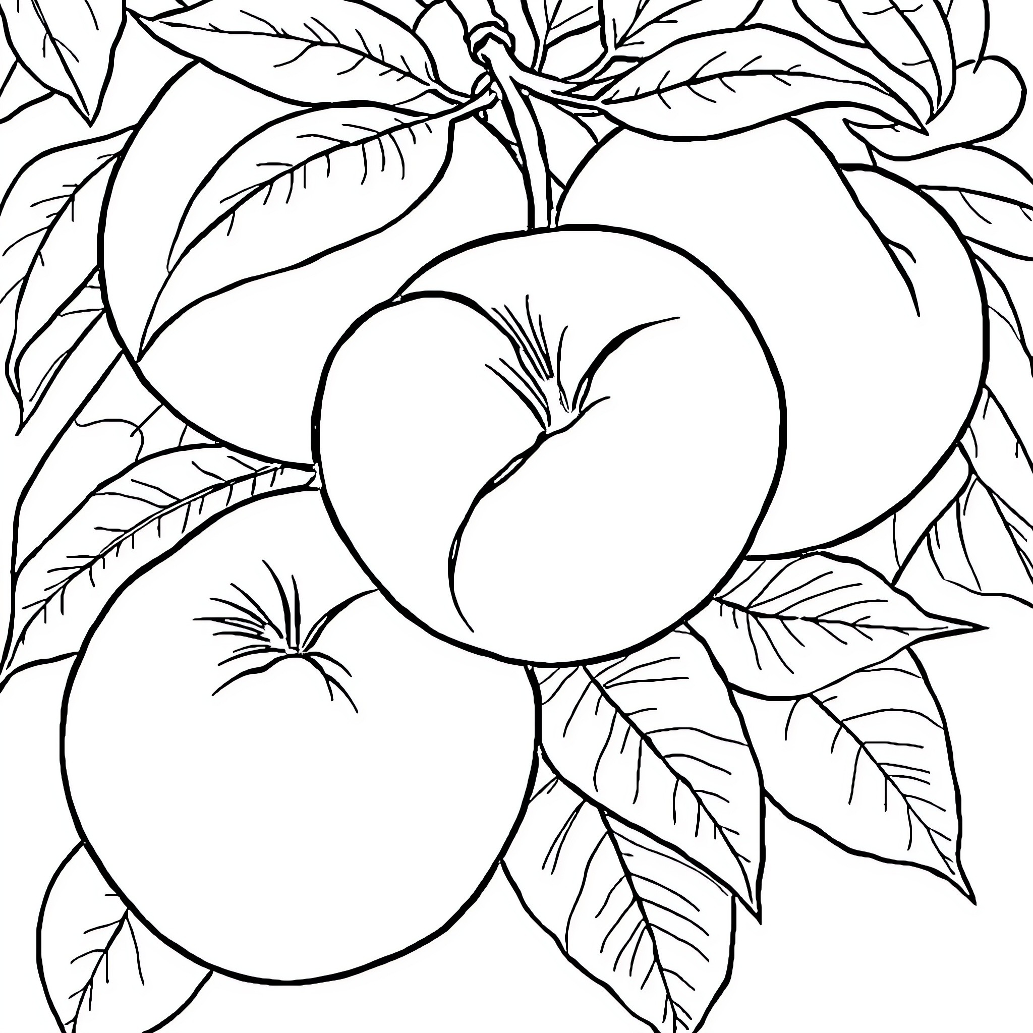 Peach harvest in the orchard Coloring Page (free black-and-white line drawing printable PDF for all, from beginners to advanced learners, including children, teens, adults, and seniors)