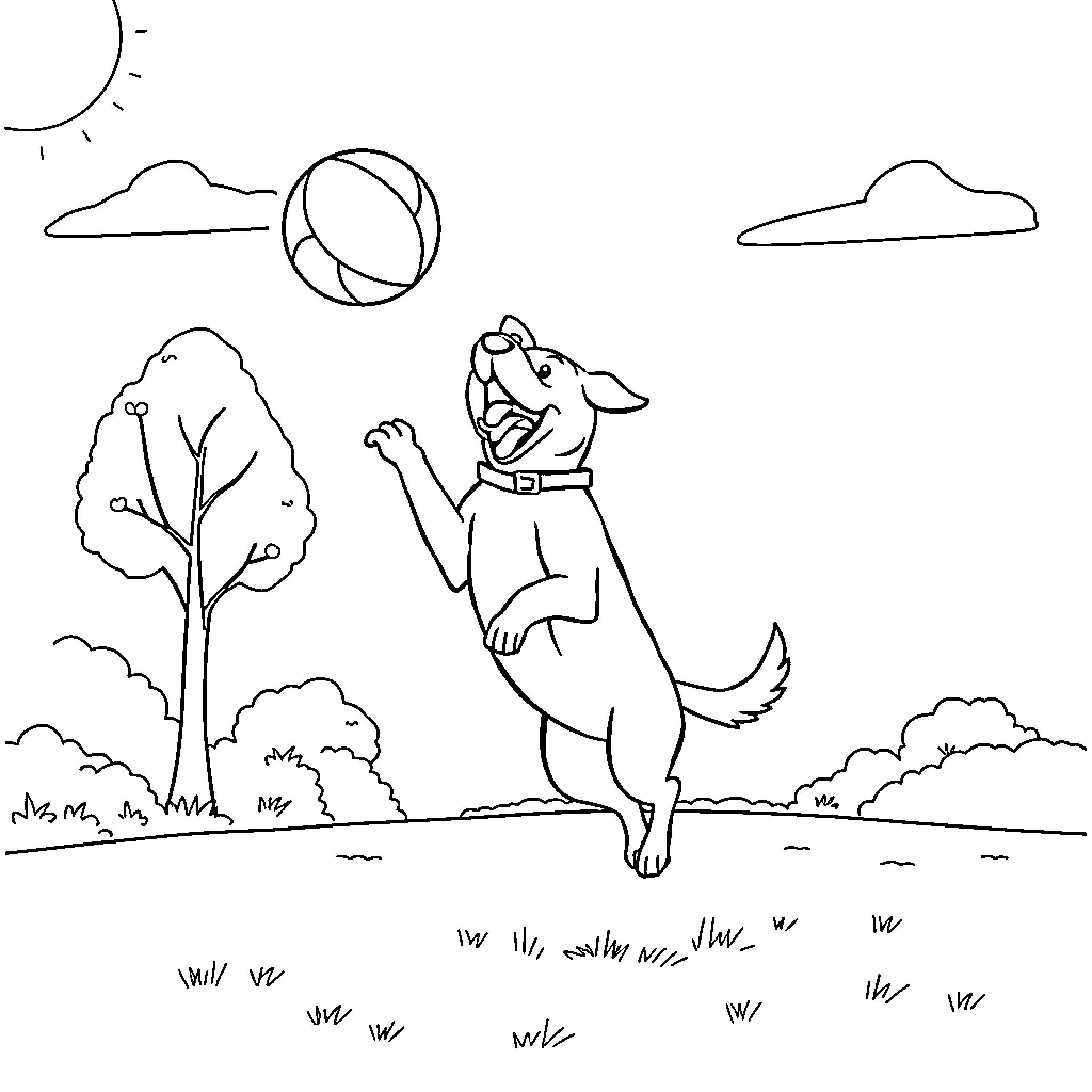 Dog playing joyfully with ball in the park Coloring Page (free black-and-white line drawing printable PDF for all, from beginners to advanced learners, including children, teens, adults, and seniors)