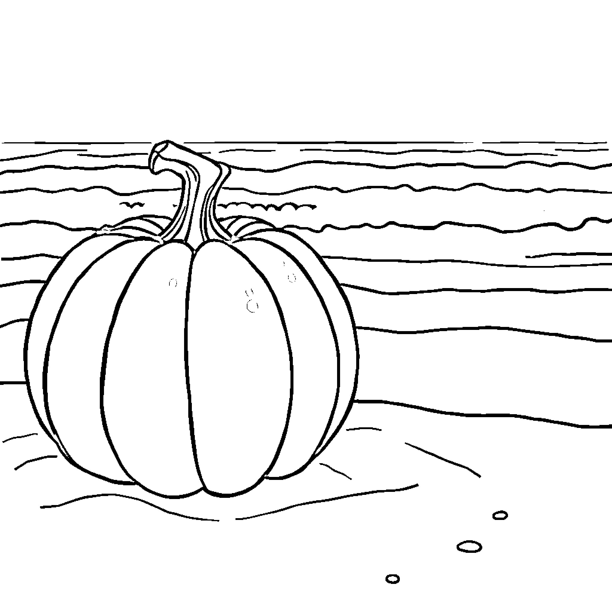 Pumpkin on autumn field Coloring Page (free black-and-white line drawing printable PDF for all, from beginners to advanced learners, including children, teens, adults, and seniors)