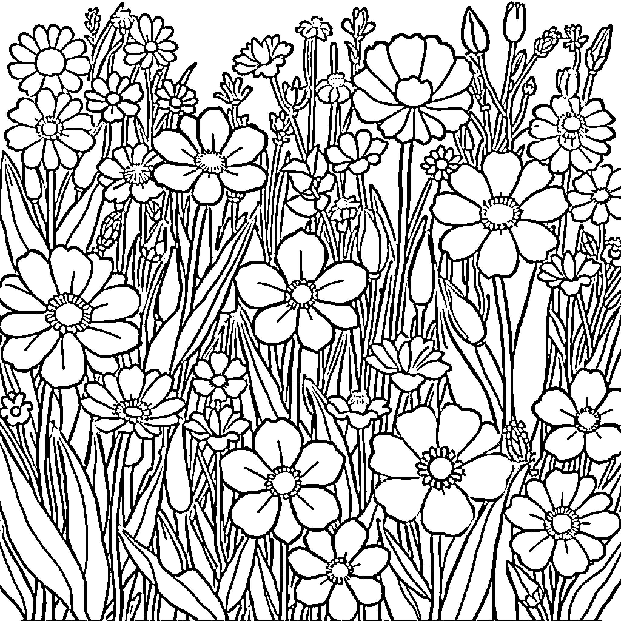 Flower Field Filled with Vibrant Blooms Coloring Page (free black-and-white line drawing printable PDF for all, from beginners to advanced learners, including children, teens, adults, and seniors)