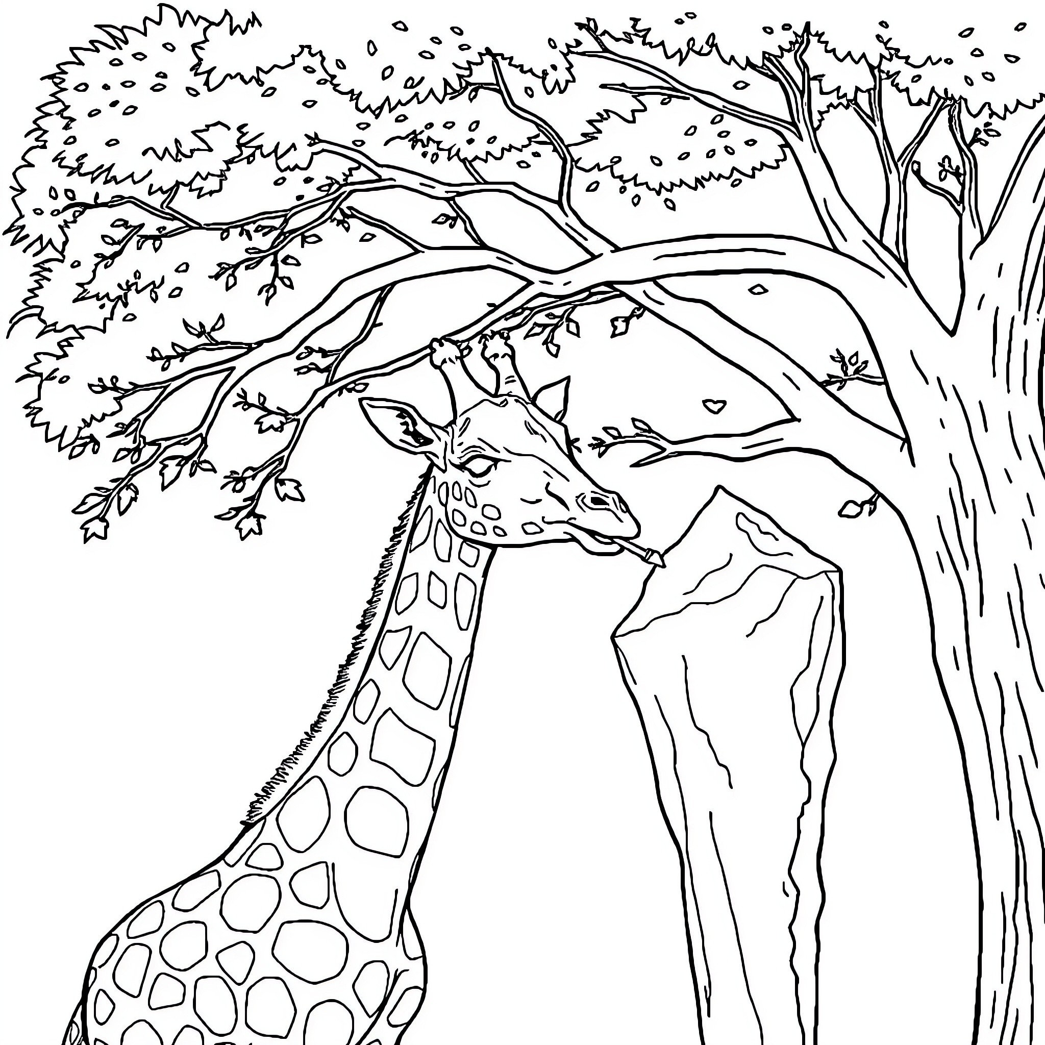 Giraffe reaching for leaves in the forest Coloring Page (free black-and-white line drawing printable PDF for all, from beginners to advanced learners, including children, teens, adults, and seniors)