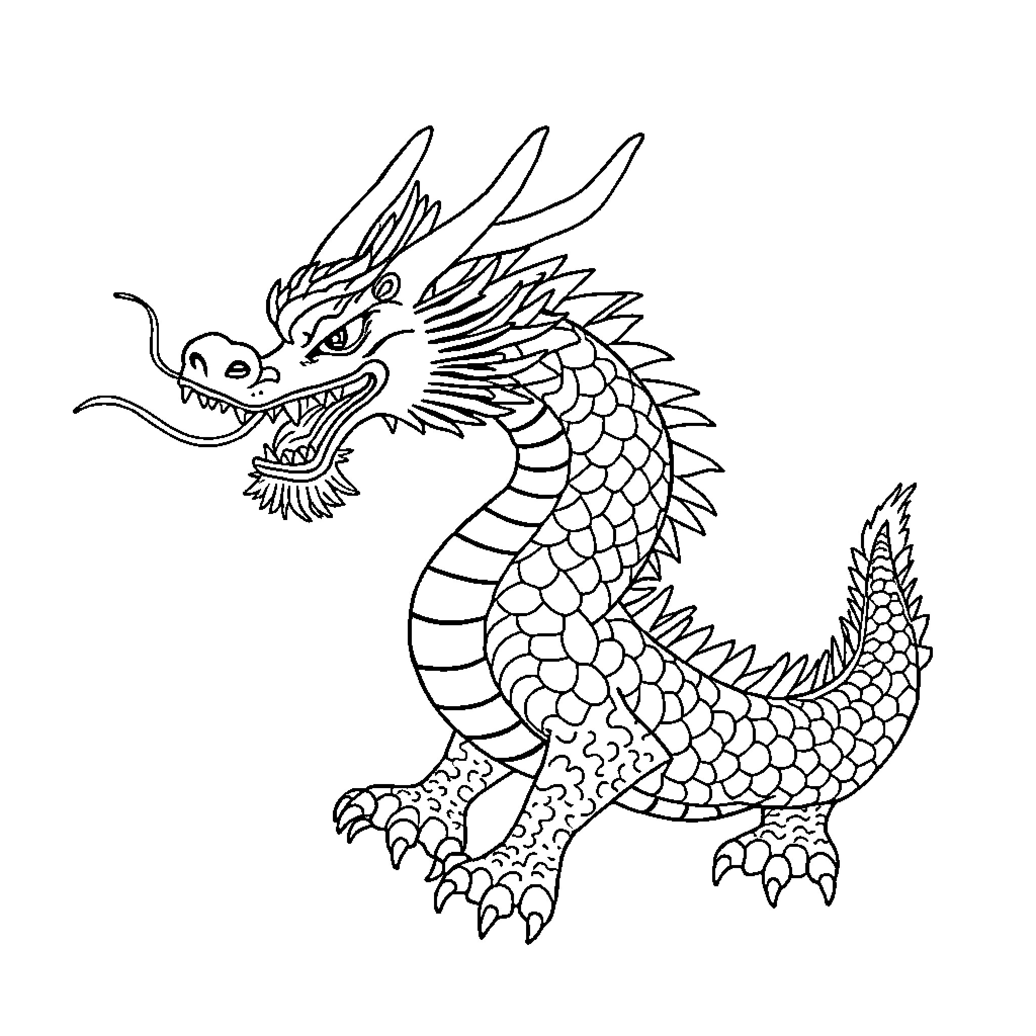 Dragon depicted with intricate scales and fierce expression Coloring Page (free black-and-white line drawing printable PDF for all, from beginners to advanced learners, including children, teens, adults, and seniors)