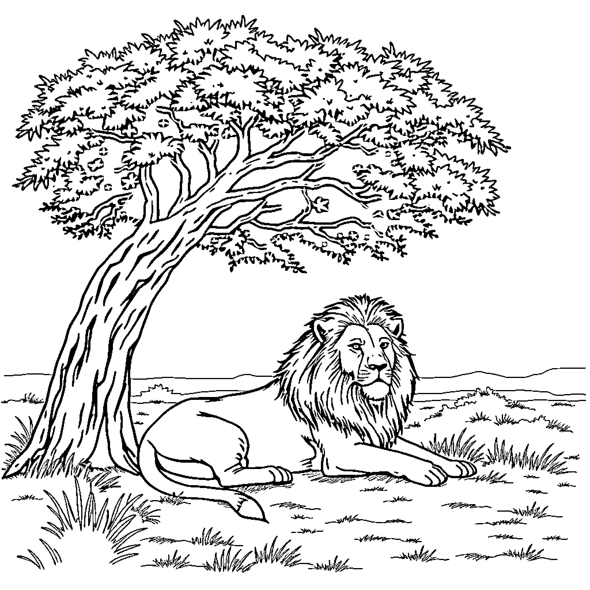 Lion resting under a large tree Coloring Page (free black-and-white line drawing printable PDF for all, from beginners to advanced learners, including children, teens, adults, and seniors)