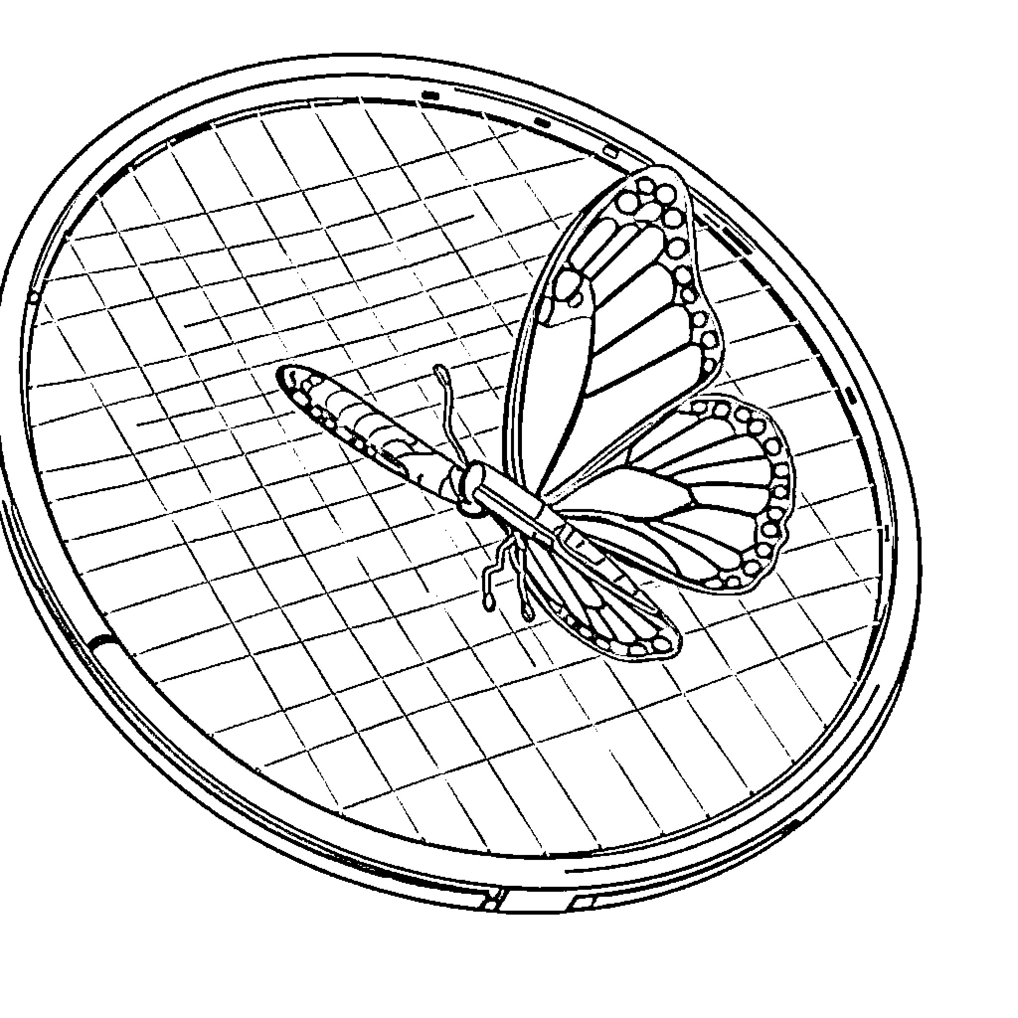 Butterfly resting on net Coloring Page (free black-and-white line drawing printable PDF for all, from beginners to advanced learners, including children, teens, adults, and seniors)