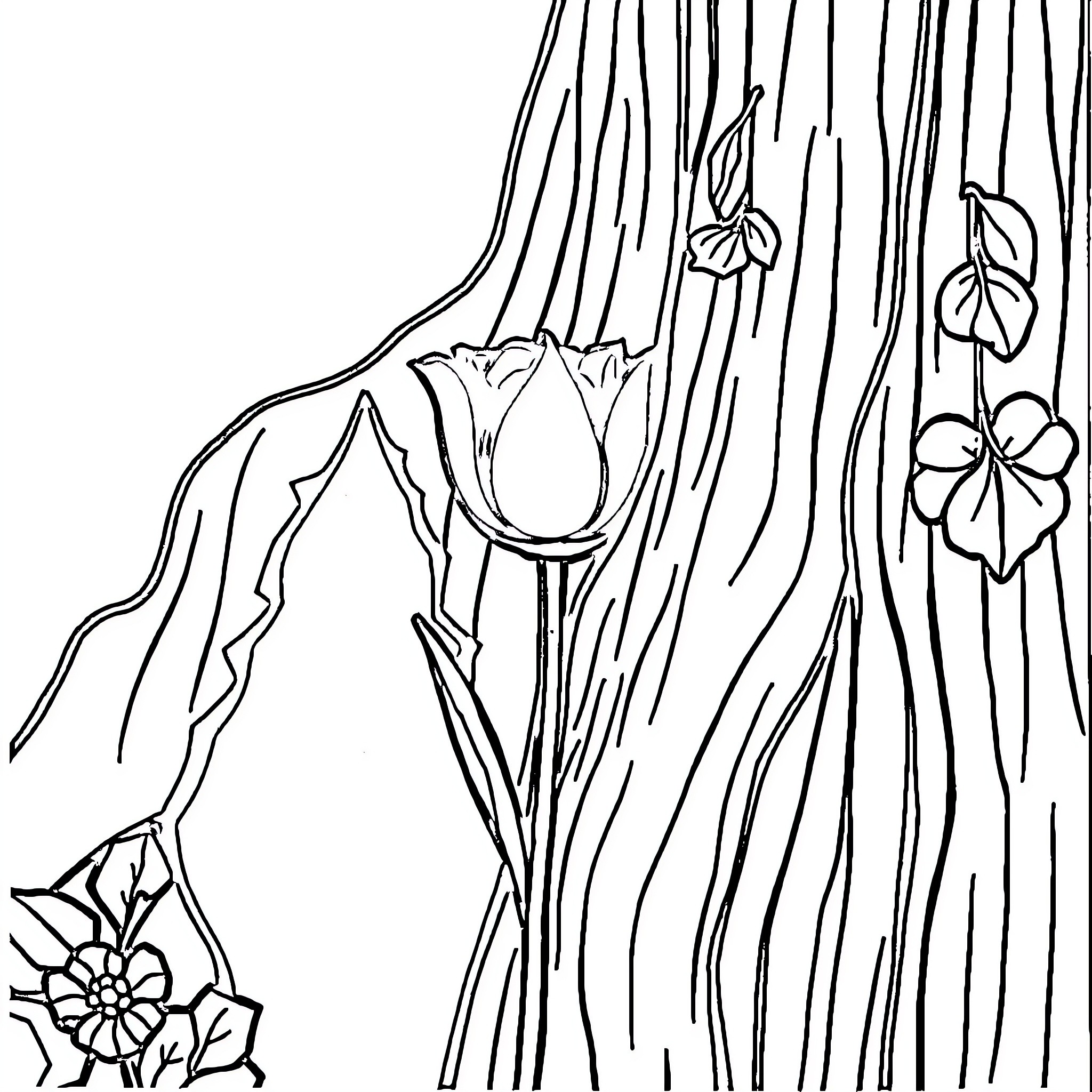 Floral patterns on wooden surface Coloring Page (free black-and-white line drawing printable PDF for all, from beginners to advanced learners, including children, teens, adults, and seniors)