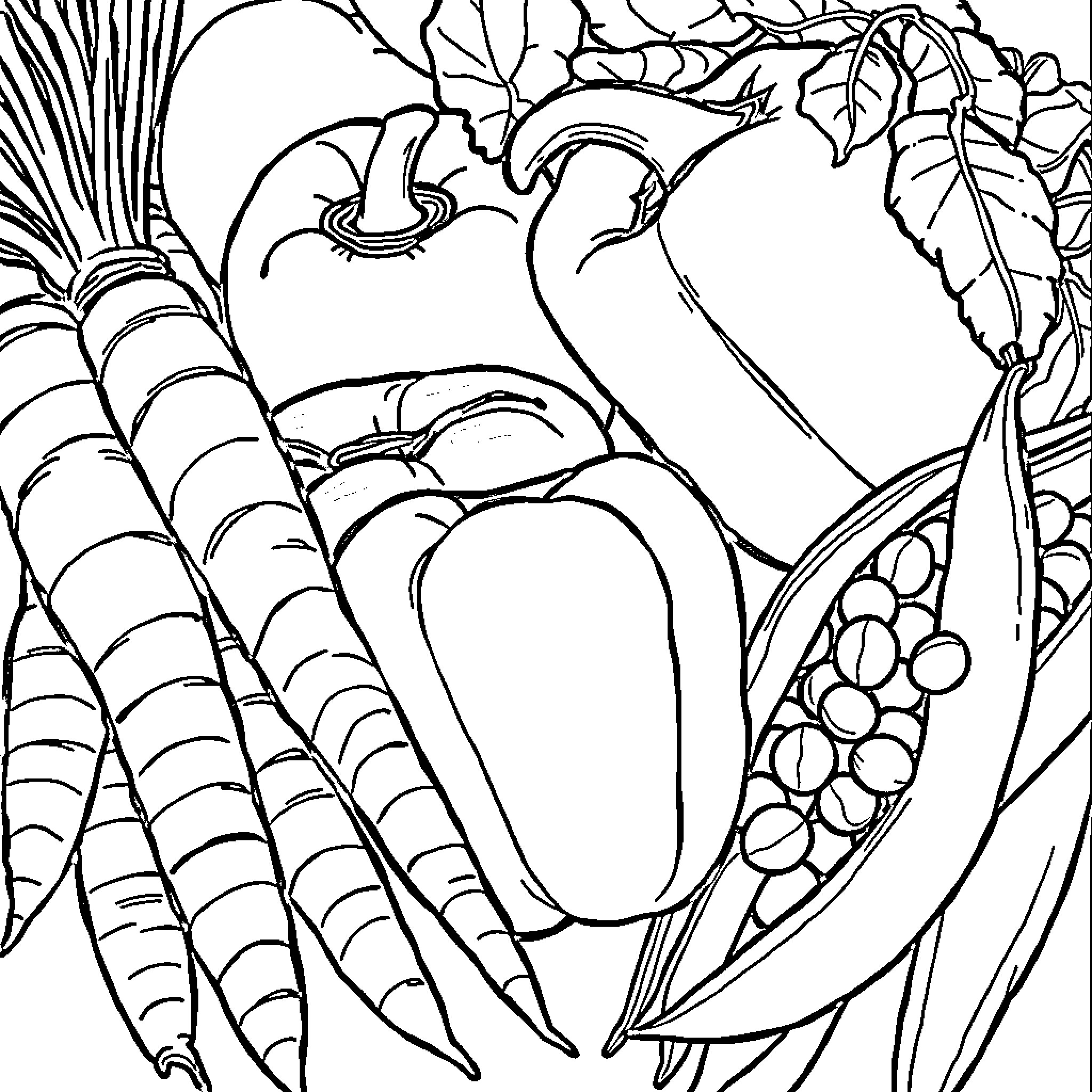 Vegetable Garden Abundance Coloring Page (free black-and-white line drawing printable PDF for all, from beginners to advanced learners, including children, teens, adults, and seniors)