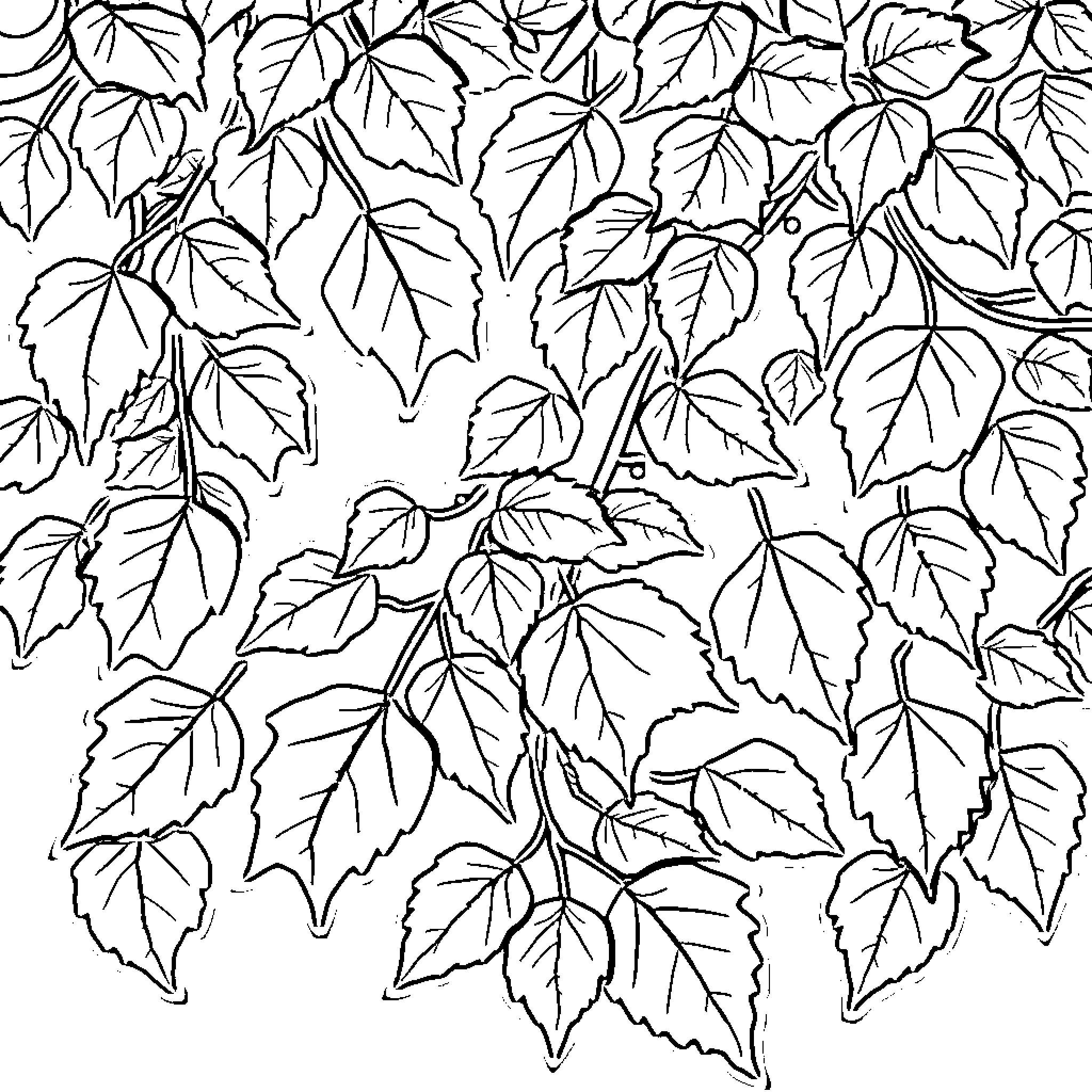 Autumn leaves in the forest Coloring Page (free black-and-white line drawing printable PDF for all, from beginners to advanced learners, including children, teens, adults, and seniors)