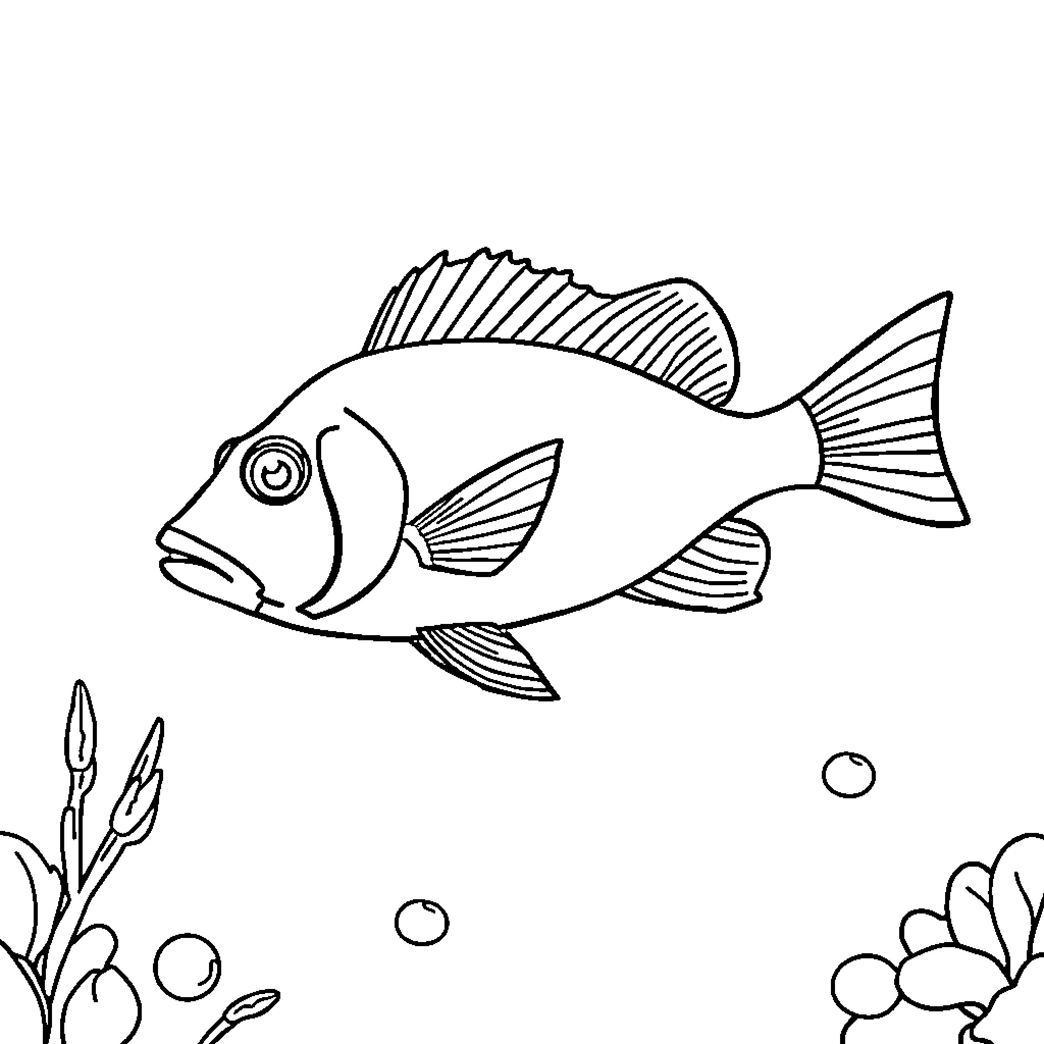Trigger Fish swimming in underwater scene Coloring Page (free black-and-white line drawing printable PDF for all, from beginners to advanced learners, including children, teens, adults, and seniors)