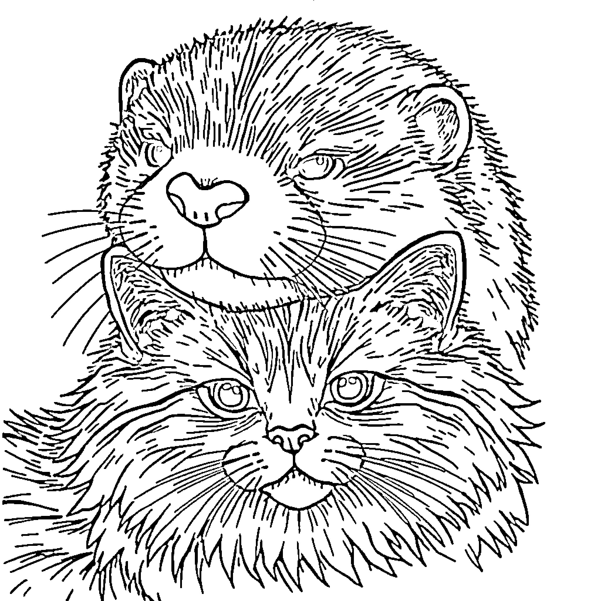 Otter friends enjoying playful interaction Coloring Page (free black-and-white line drawing printable PDF for all, from beginners to advanced learners, including children, teens, adults, and seniors)