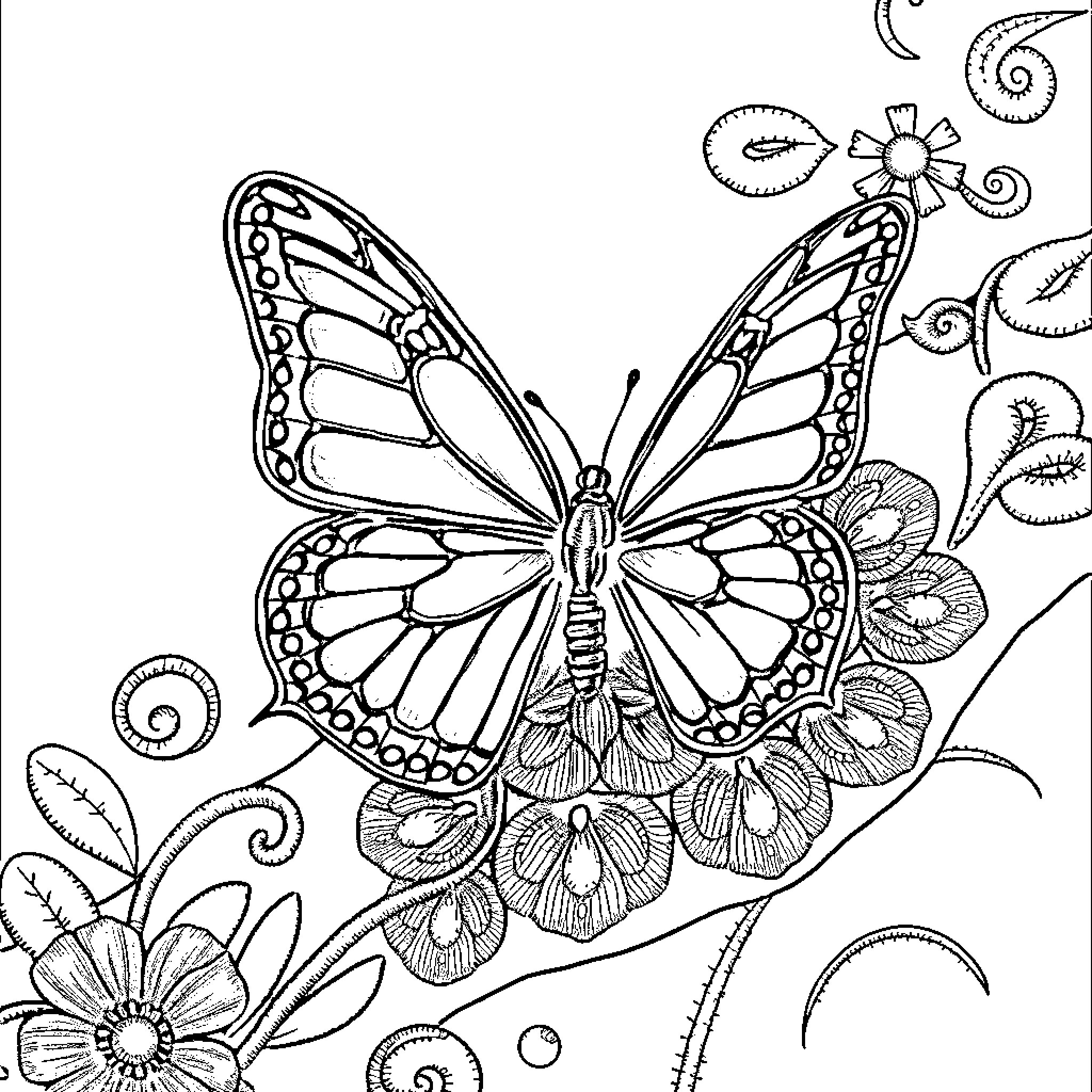 Butterfly amidst whimsical floral arrangement Coloring Page (free black-and-white line drawing printable PDF for all, from beginners to advanced learners, including children, teens, adults, and seniors)
